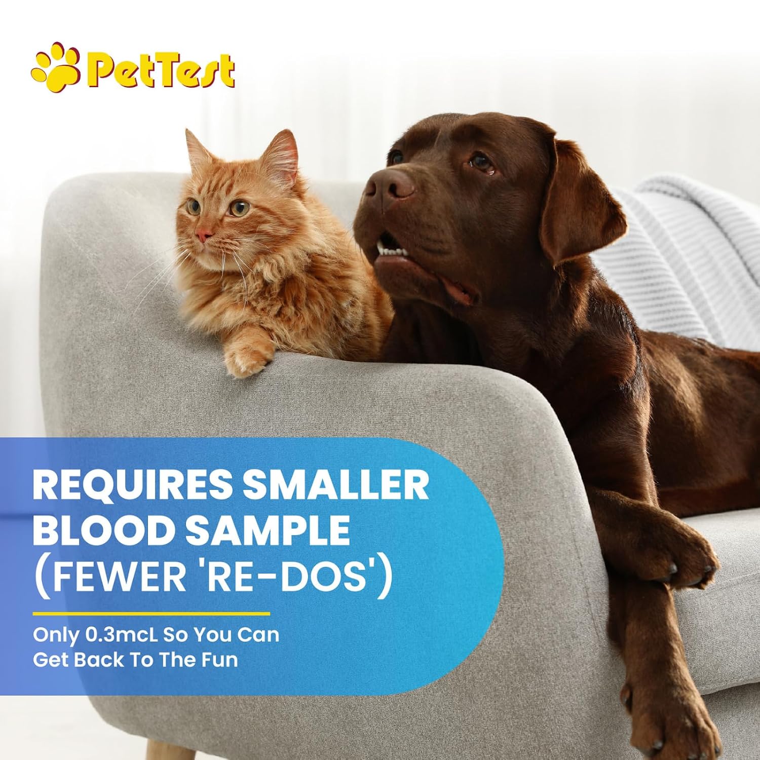 PetTest Genteel Glucose Monitor Kit for Dogs and Cats, Pain-Free Testing