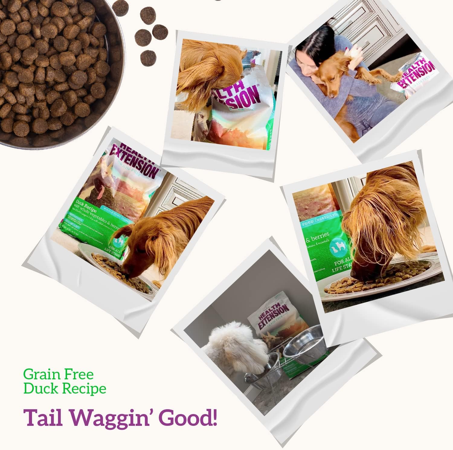 Health Extension Grain Free Venison & Sweet Potato Dry Dog Food - 30+ Superfoods and Probiotics for All Life Stages (10 lb)