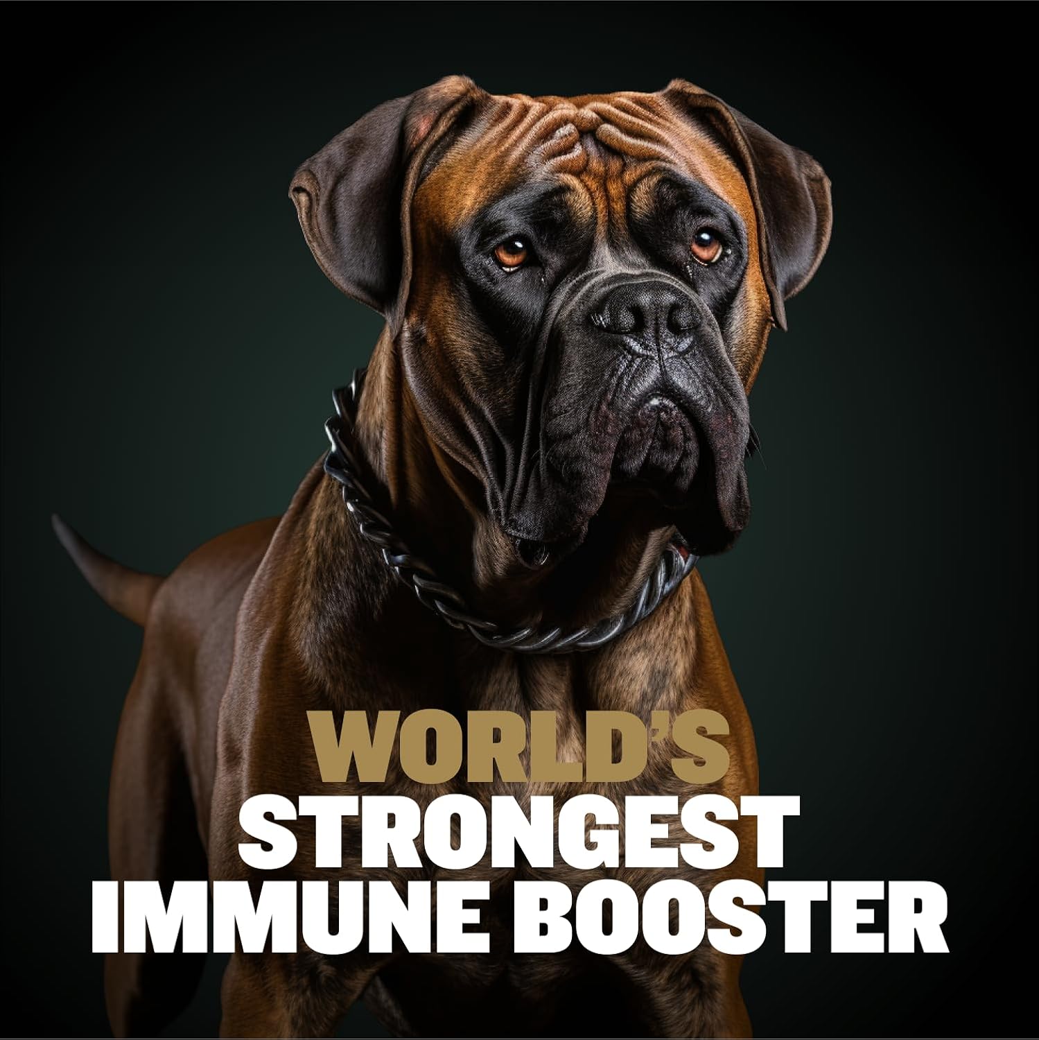Bully Max 11-in-1 Dog Muscle Builder Power Chews - High Protein Muscle Gain Supplement with Amino Acids - Vet-Recommended for Puppy & Adult Canines