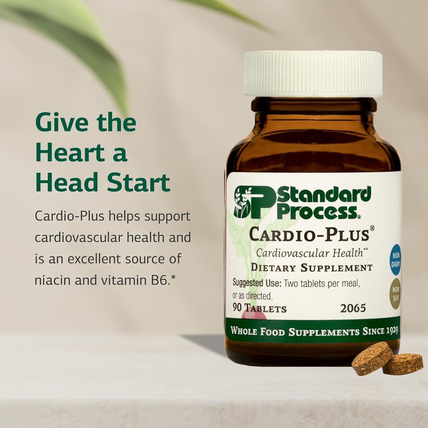 Standard Process Cardio-Plus - Antioxidant Support - Heart Health, Circulation & Blood Flow Supplement with Vitamin B6, Niacin & Riboflavin - Energy Metabolism Supplement - 90 Tablets