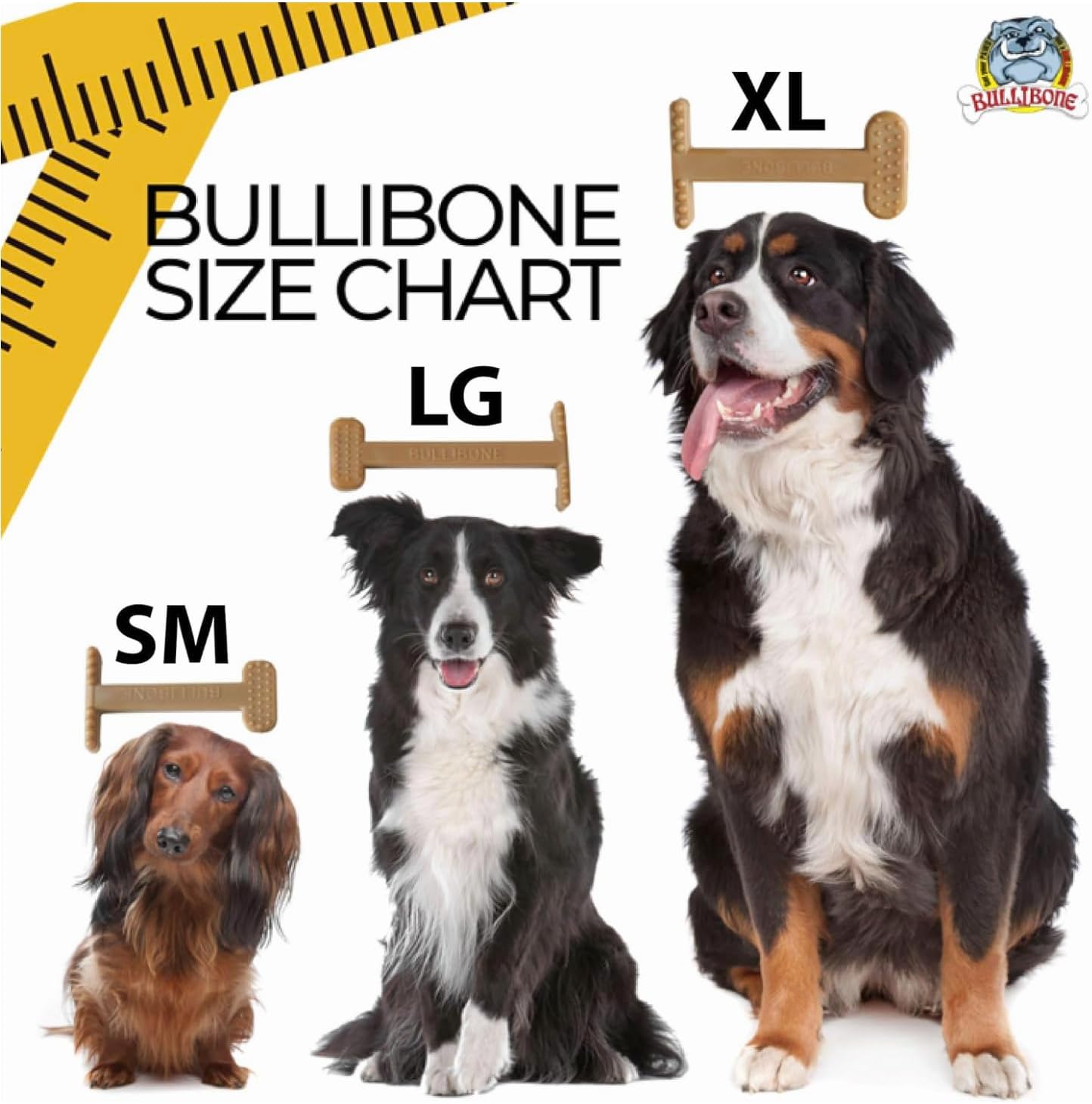 Bullibone Nylon Dog Chew Toy for Aggressive Chewers - Dental Hygiene Bone with Beef Flavor, Durable Tough Chew Toys for Small Dogs, Indestructible Dog Bone - 3 Pack