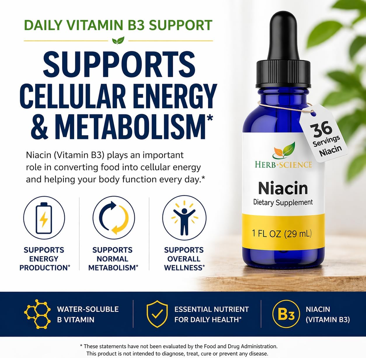 Liquid Vitamin B3 Niacin Drops, Alcohol-Free, 1 Oz | Easy-to-Take Liquid Formula with Flexible Serving, Vegan, Non-GMO