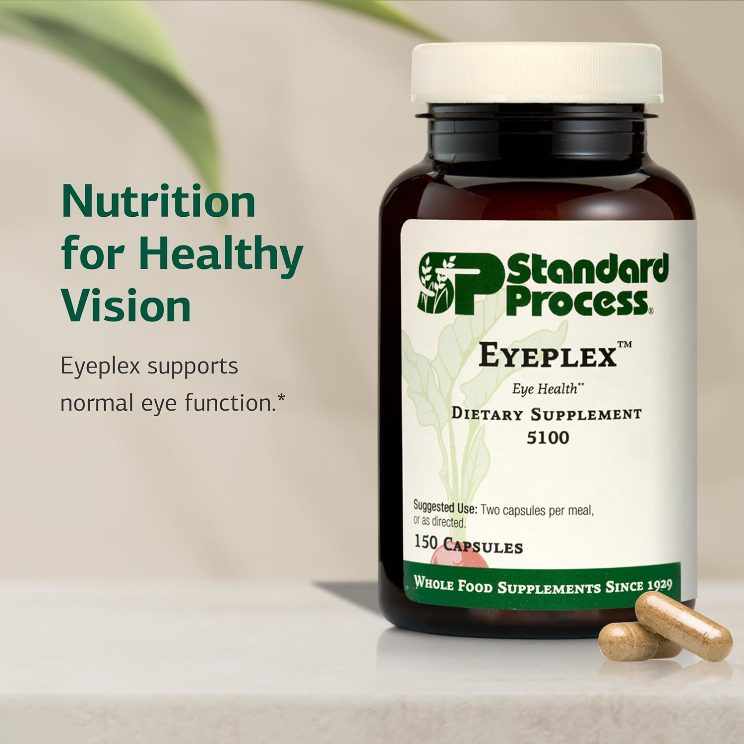Standard Process Inc. Iplex - Whole Food Vascular Supplement, Eye Health and Eye Support with Shiitake Mushroom, Phosphoric Acid, Rice Bran
