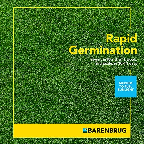 Barenbrug Turf Star Regenerating Perennial Ryegrass Lawn Seed with Yellow Jacket Seed Coating, Fast-Acting Durable Grass Seed Mix for Lawns