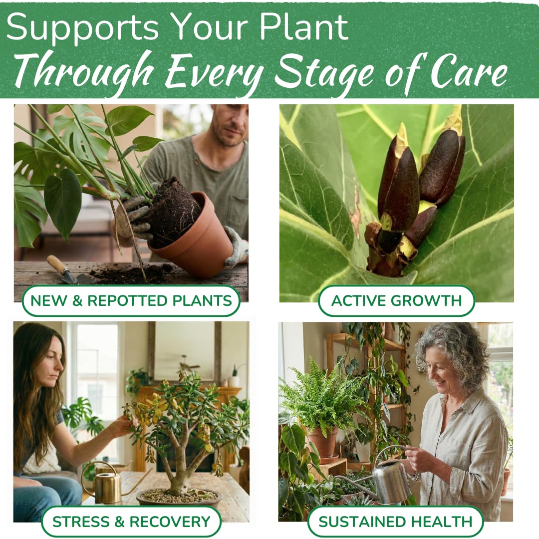 Indoor Plant Food by Houseplant Resource Center - Organic Liquid Fertilizer for Pothos, Peace Lily, Monstera, Cactus and More - 8 oz