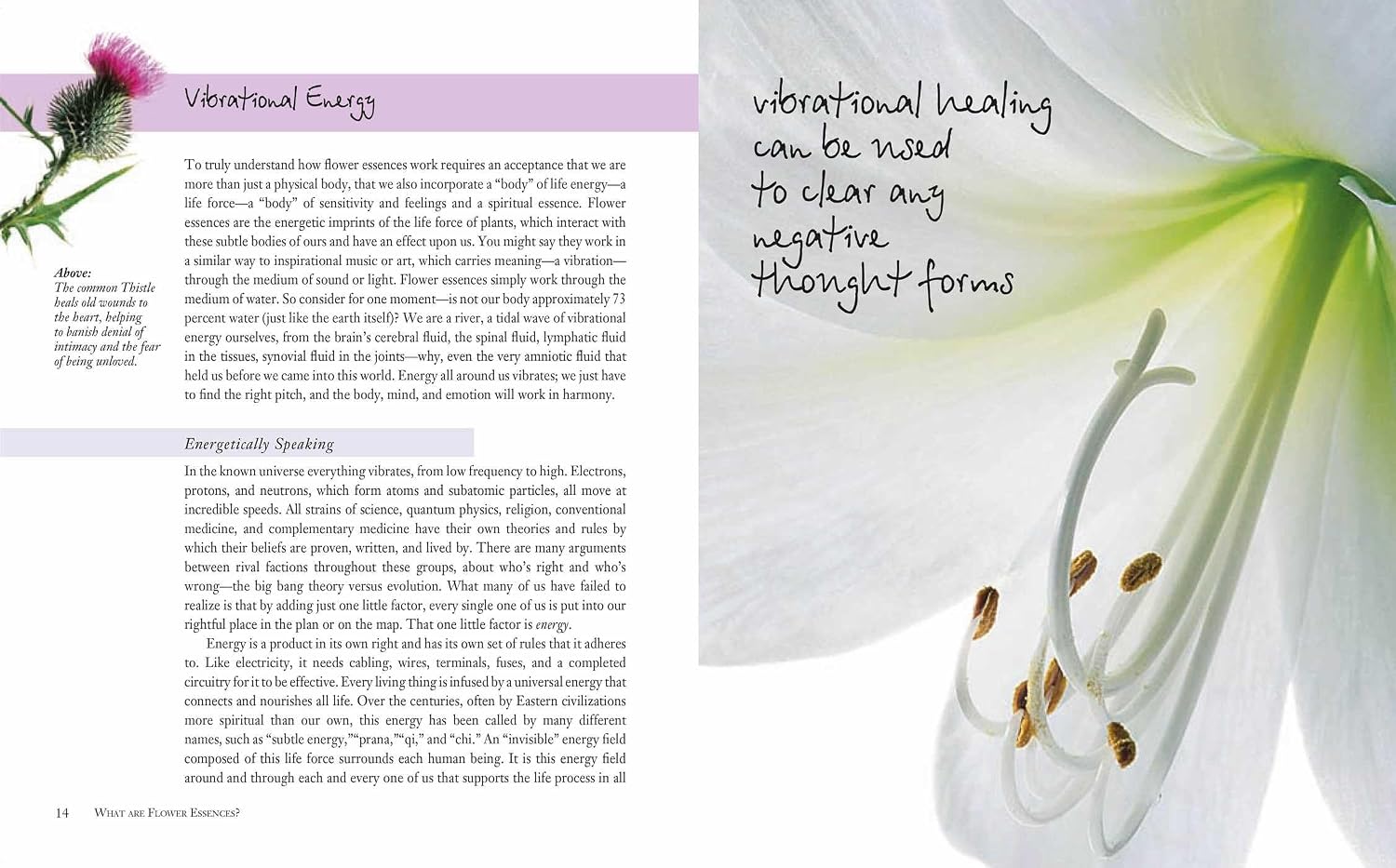 Flower Essences for Well-being: Energetic healing for health and harmony