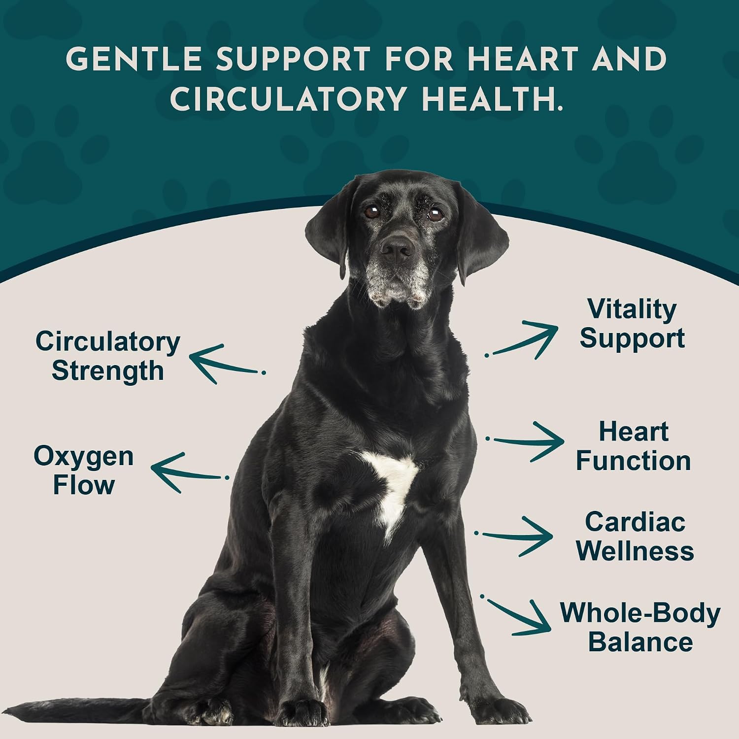 Heart Health for Dogs & Cats - Cardiovascular Support Supplement, Healthy Heart, Organic Hawthorn Berry, Herbal Tincture - 2 Fl Oz