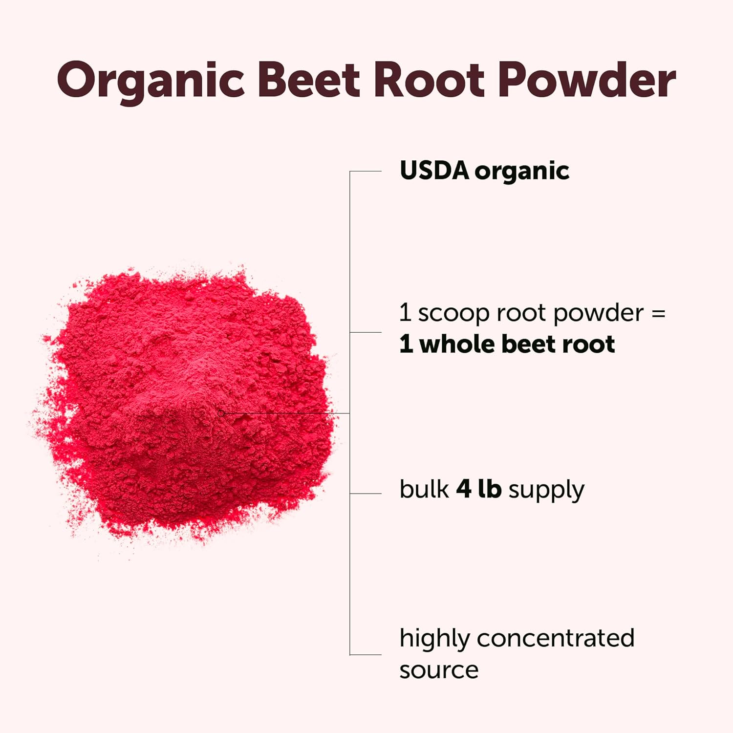Micro Ingredients Organic Beet Root Powder, 4 Pounds | Nitric Oxide Supplement for Men & Women | Water Soluble, Highly Concentrated Raw Beet Supplement | Superfood Drink Mix | Non-GMO, Plant Based