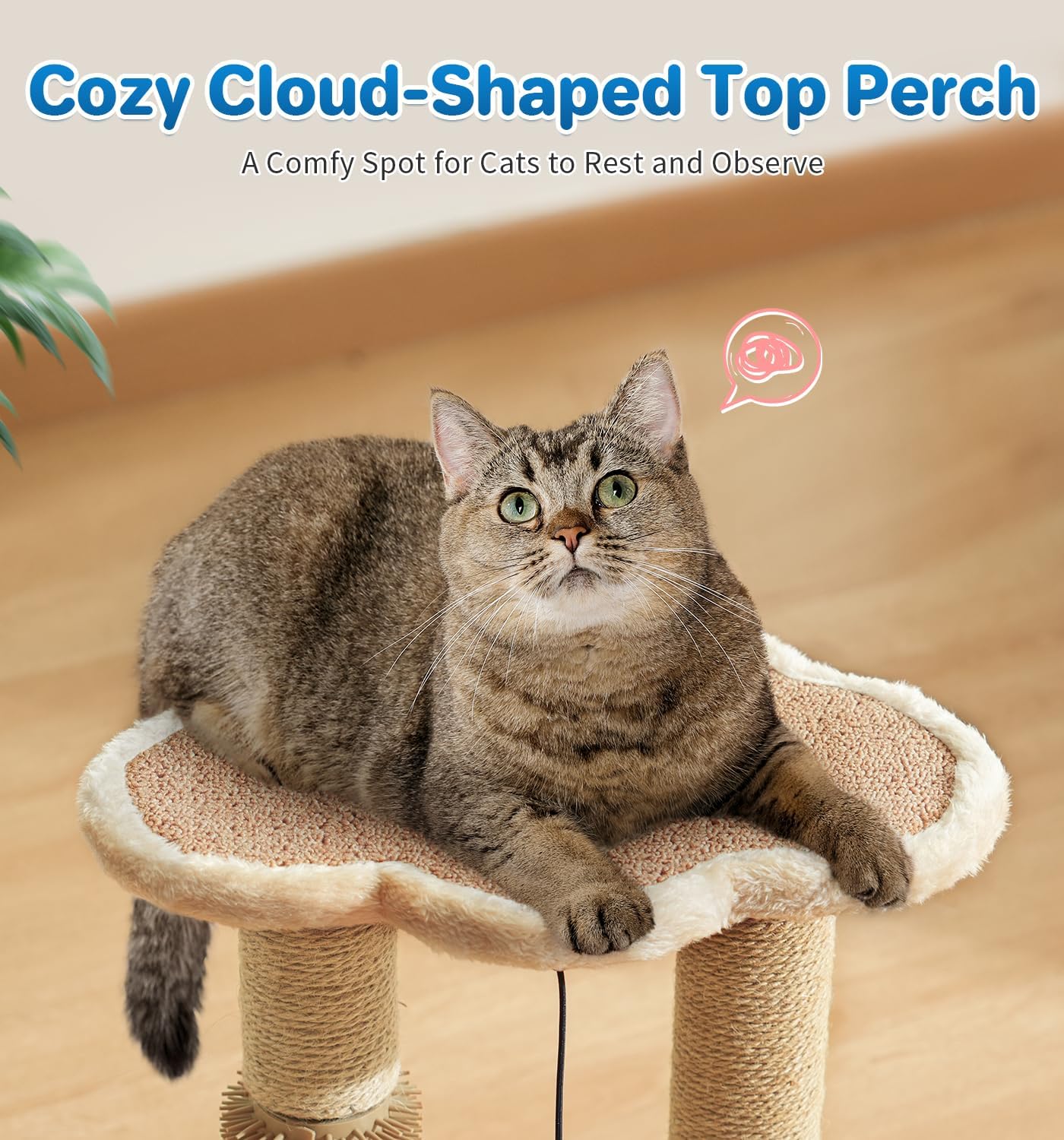 Made4Pets Kitten Toy Scratching Post for Indoor Cats with Ball Track