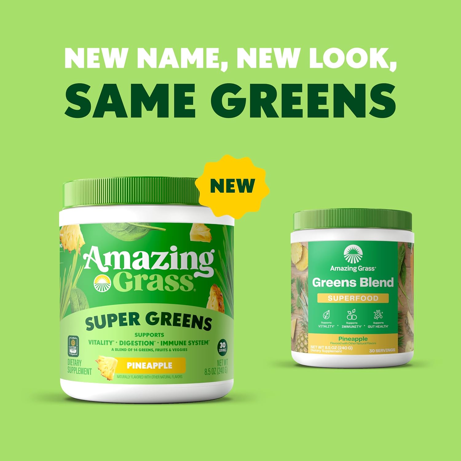 Amazing Grass Super Greens Powder Original, 60 Servings, 16.9 oz | Organic Greens Superfood Powder with Spirulina, Beet Root, Probiotics & Digestive Enzymes to Support Digestion