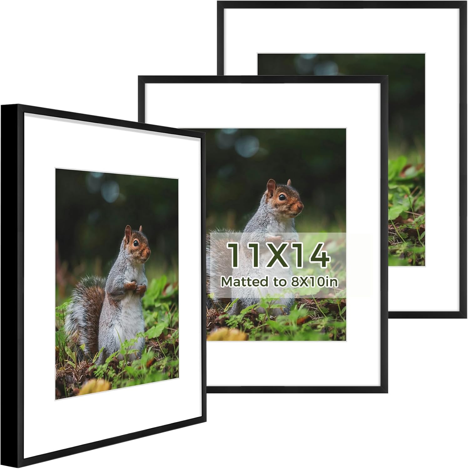 Golden State Art 3 Pack 12x12 Black Aluminum Frames, Real Glass Fronts