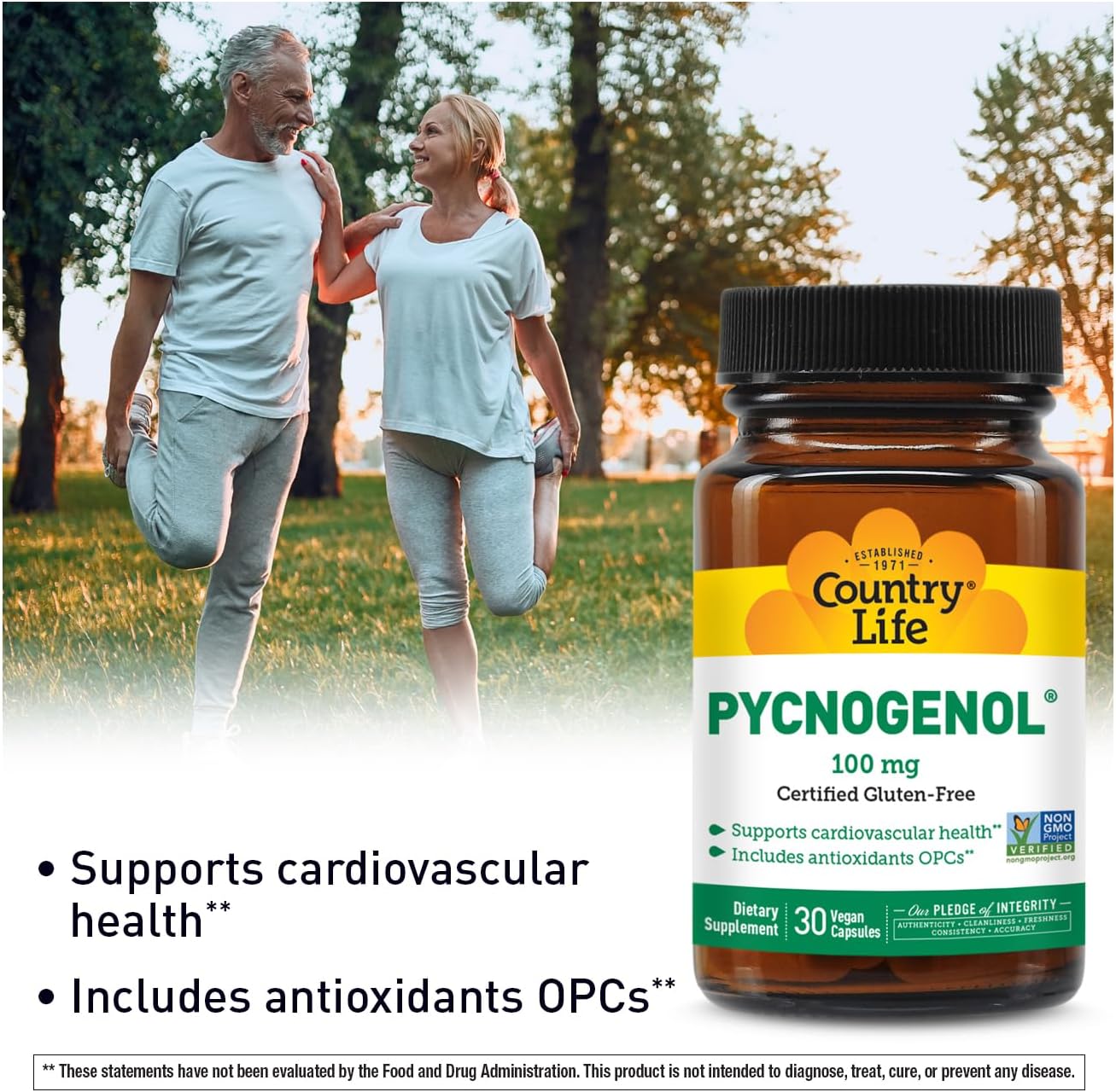 Country Life Pycnogenol 100mg - French Maritime Pine Bark Extract Antioxidants Supplement - Supports Cardiovascular Health - No Yeast, Corn, Wheat