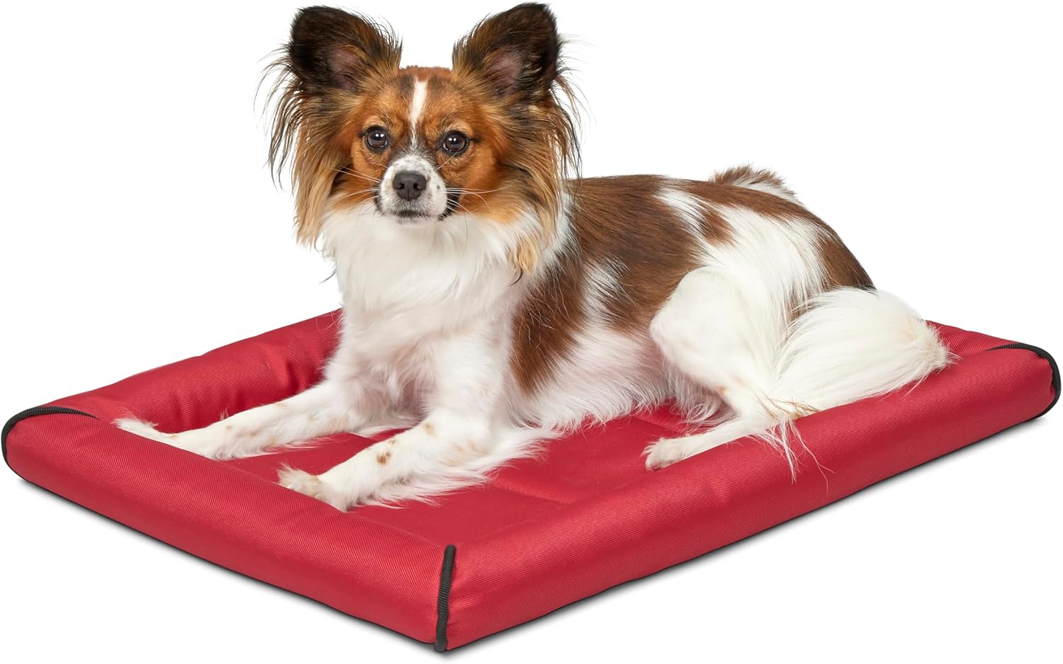 MidWest Homes for Pets Intermediate QuietTime MAXX Ultra-Rugged Dog Bed, Water & Odor Resistant, Bolstered Edge, Non-Slip Bottom, Fits 36-inch Crates, Black