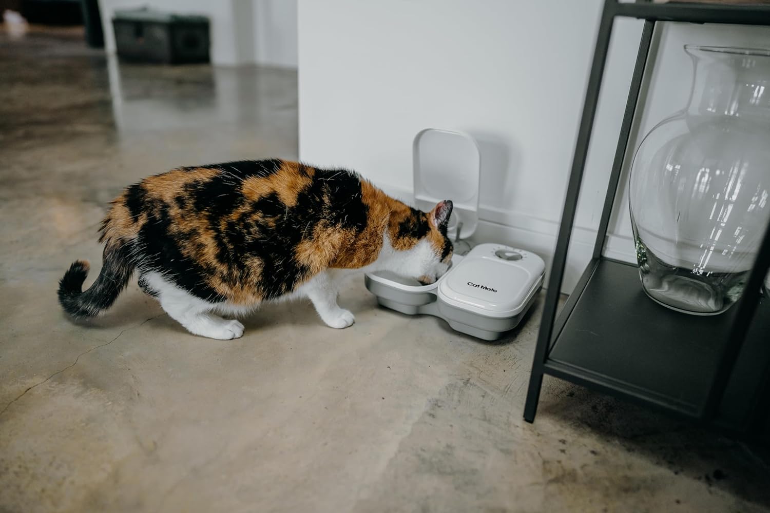 Cat Mate C200 Automatic 2 Meal Pet Feeder with Timer for Cats & Small Dogs