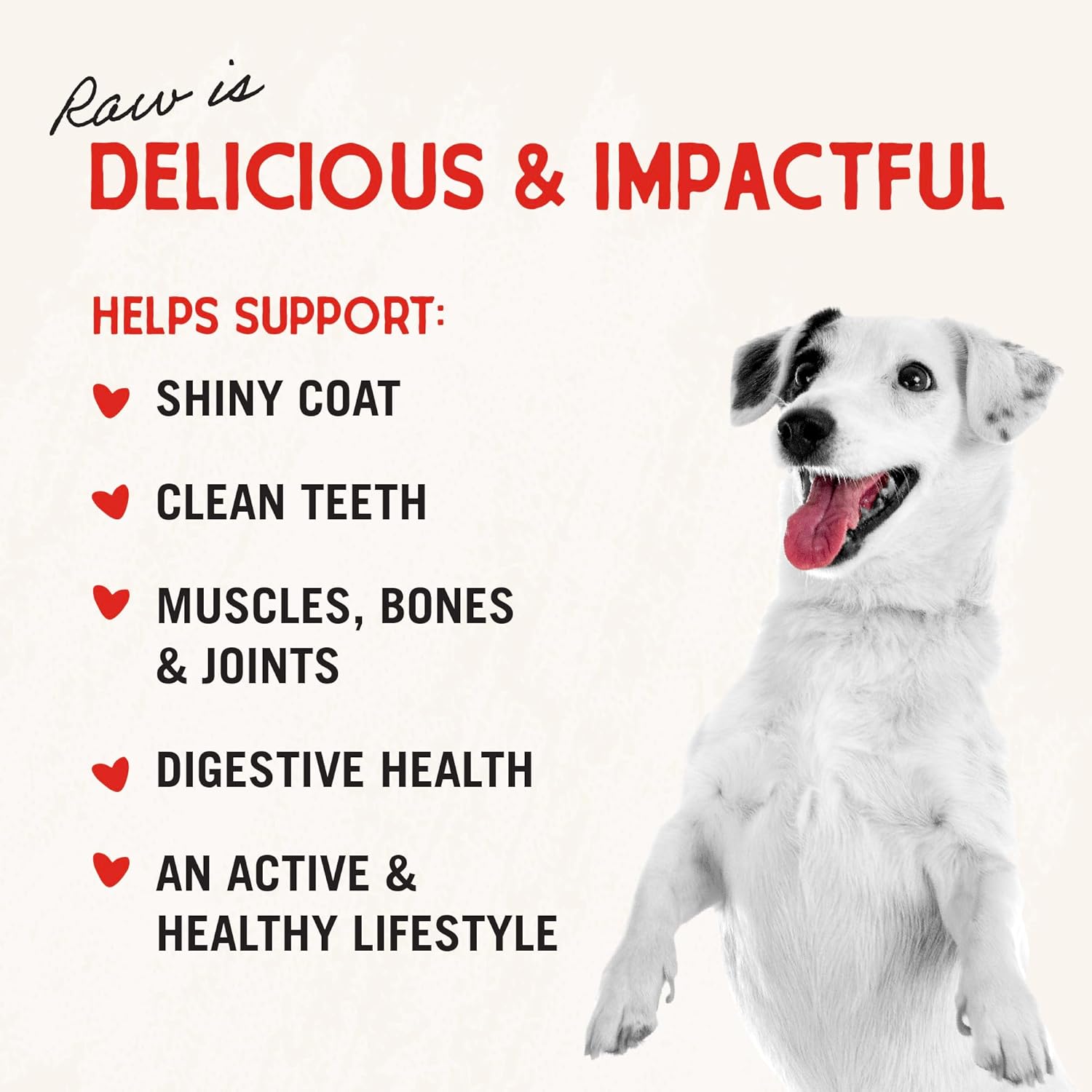 Stella & Chewy's Freeze-Dried Raw Lamb Heart Dog Treats - Single Ingredient, No Additives - Premium Training Treats - Perfect For Picky Eaters - 3oz Bag