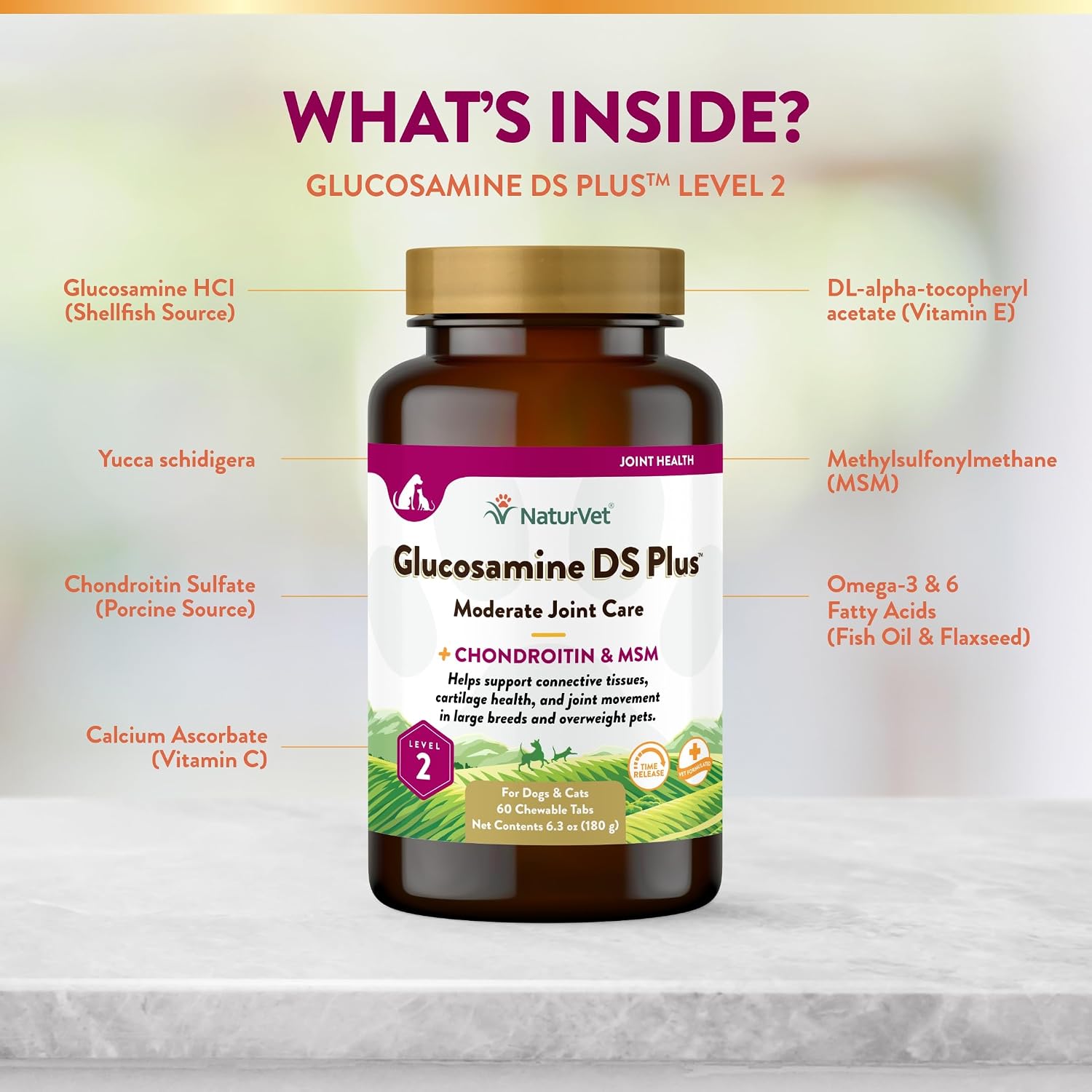 NaturVet – Glucosamine DS Plus - Level 2 Moderate Care – Supports Healthy Hip & Joint Function – Enhanced with Glucosamine, MSM & Chondroitin – for Dogs & Cats–70 Soft Chews