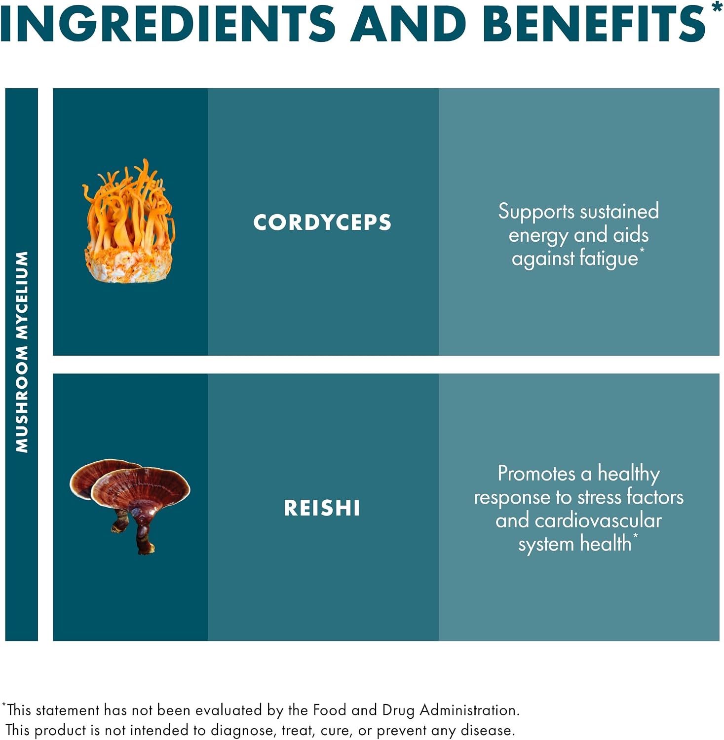 Host Defense CordyChi Capsules - Energy & Immune Support Supplement - Cordyceps & Reishi Mushroom Supplement for Relaxation & Respiratory Support - Aids Against Tiredness - 120 Capsules