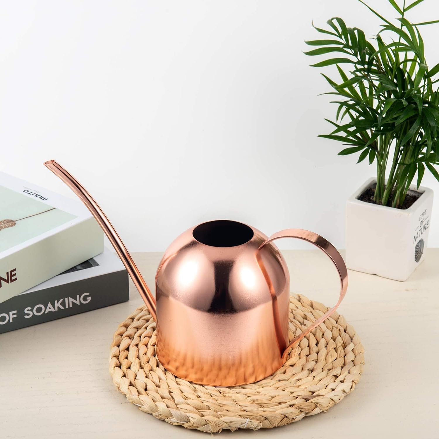 IMEEA Indoor Watering Can for House Plants 33oz/1L Brushed Stainless Steel Watering Can with Long Spout for Succulents, Bonsai