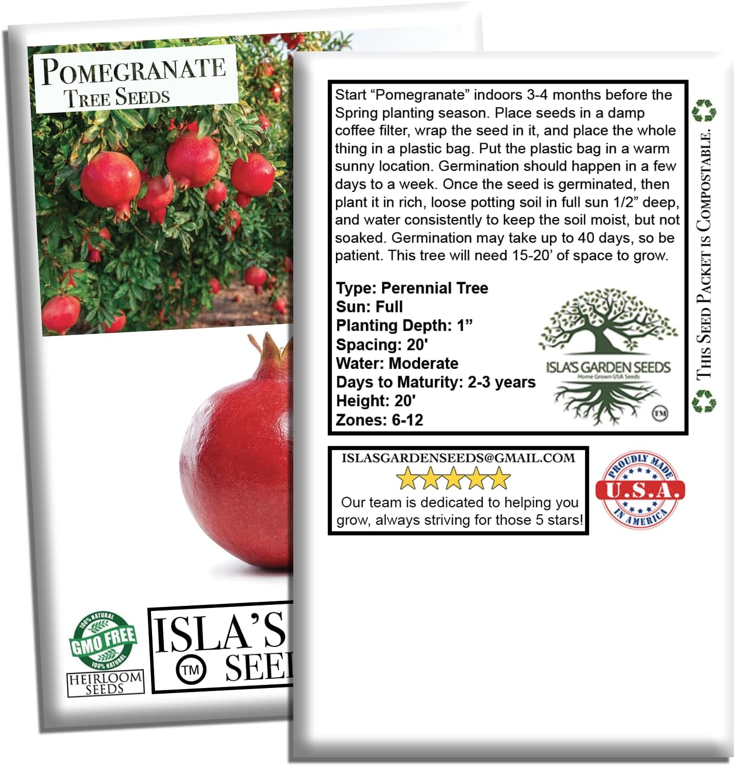 Pomegranate Tree Seeds (Punica granatum) – 30+ Non-GMO Fruit Tree Seeds for Planting, Beautiful Ornamental Tree with Sweet Edible Fruit