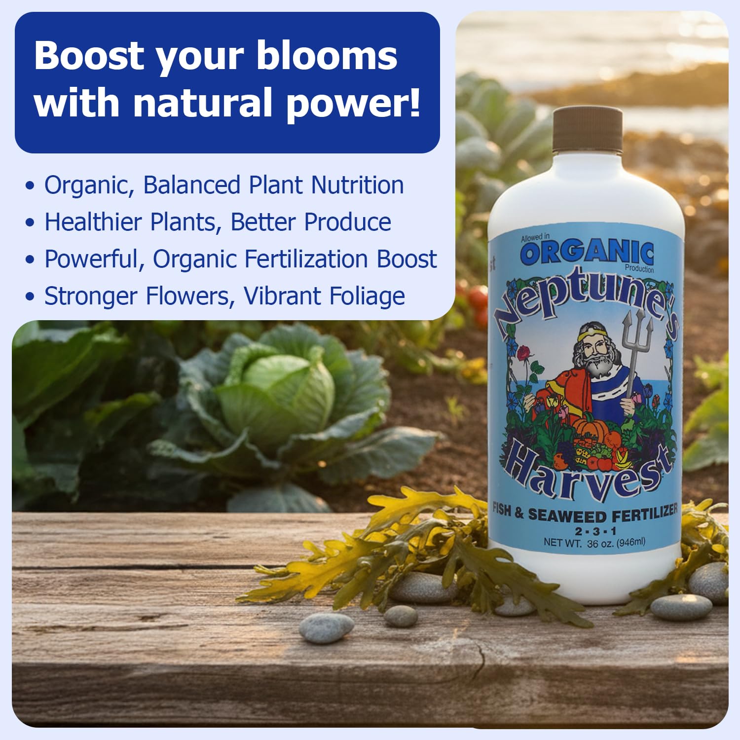 Neptune's Harvest Fish & Seaweed Liquid Fertilizer (2-3-1) - 36oz Bottle - Plant Food for Garden - Indoor & Outdoor Organic Plant Fertilizer for