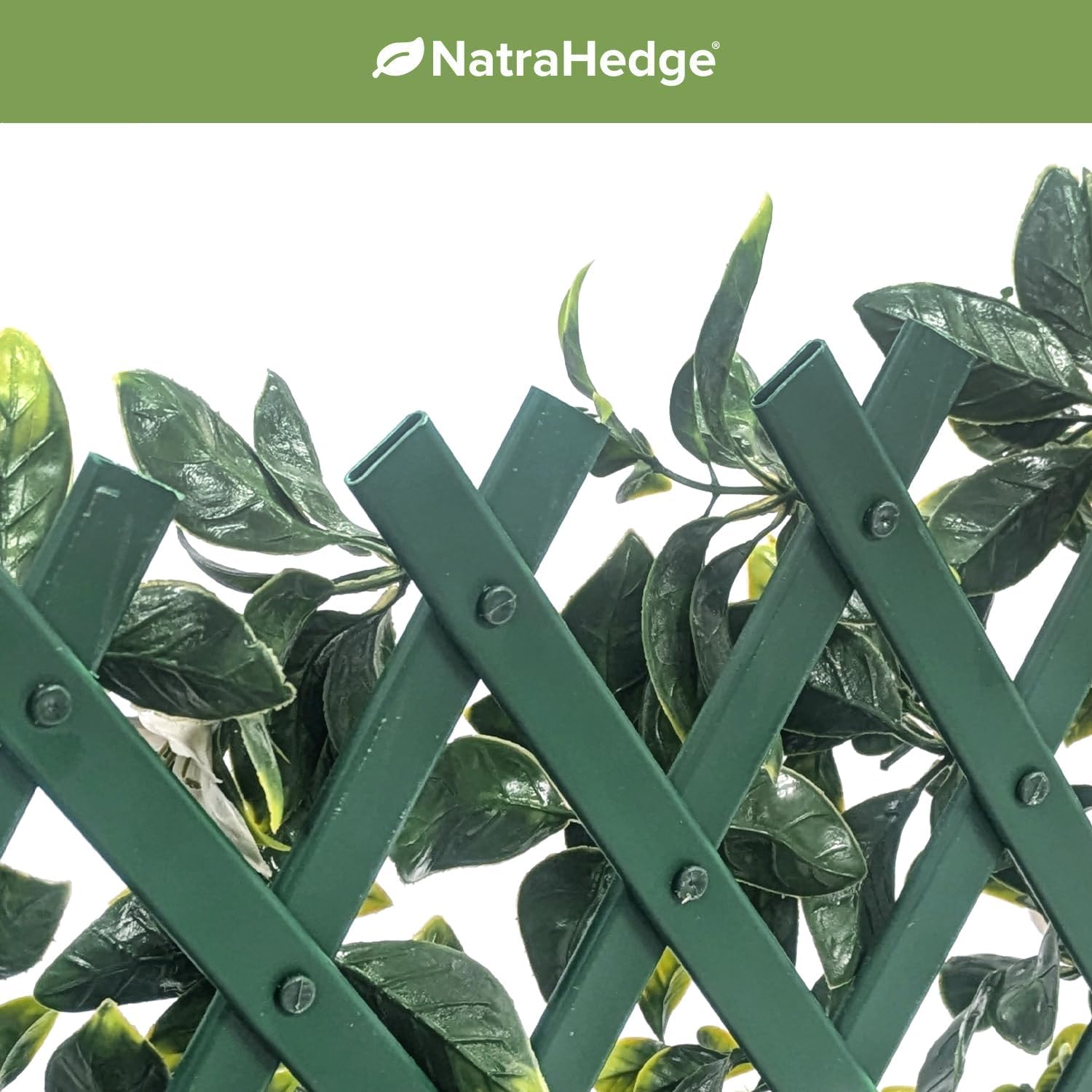 NatraHedge 20''X50'' Artificial Privacy Grass Wall Decor, Laurel Leaf