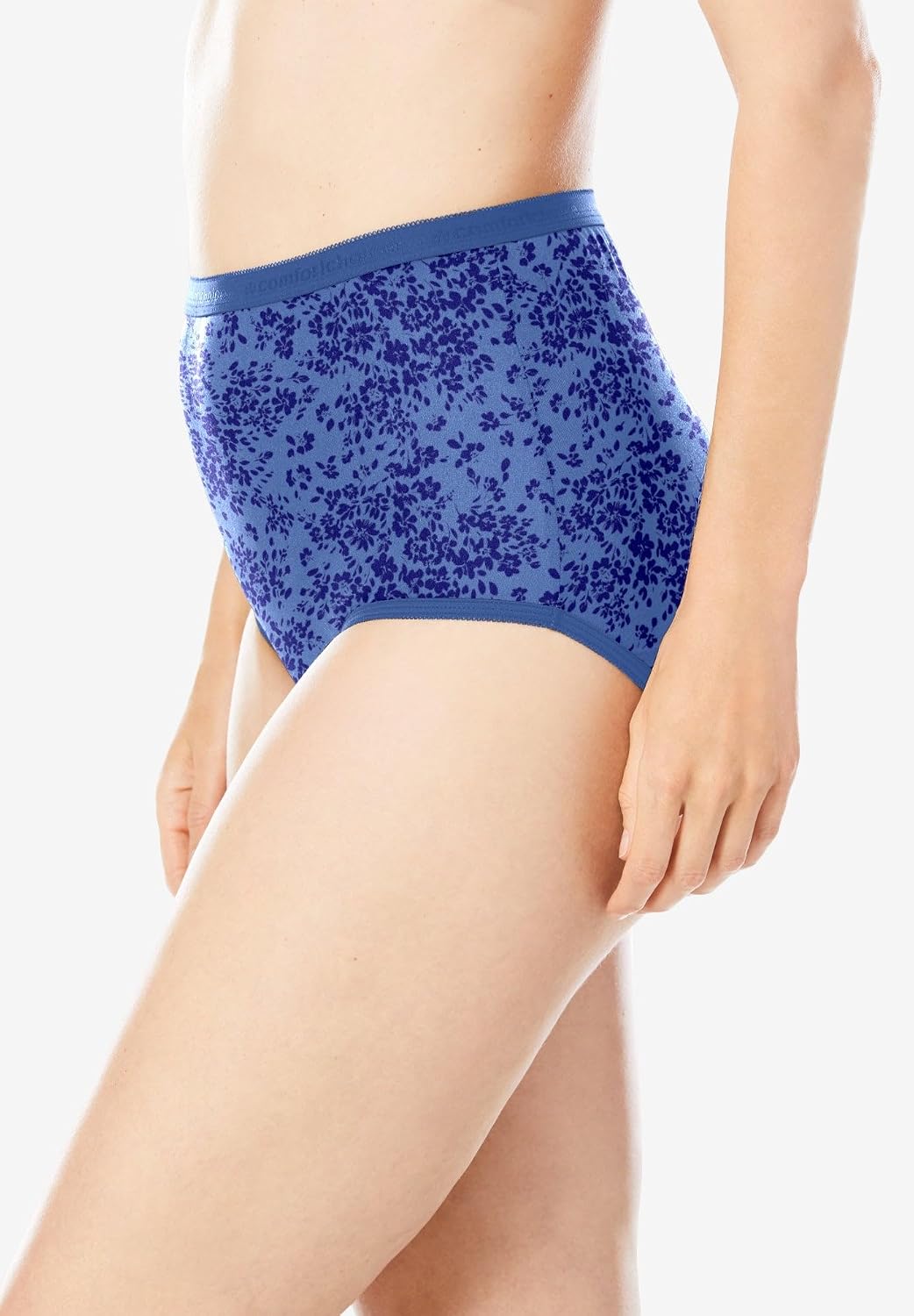 Comfort Choice Plus Size 5-Pack Classic Silky Nylon Brief