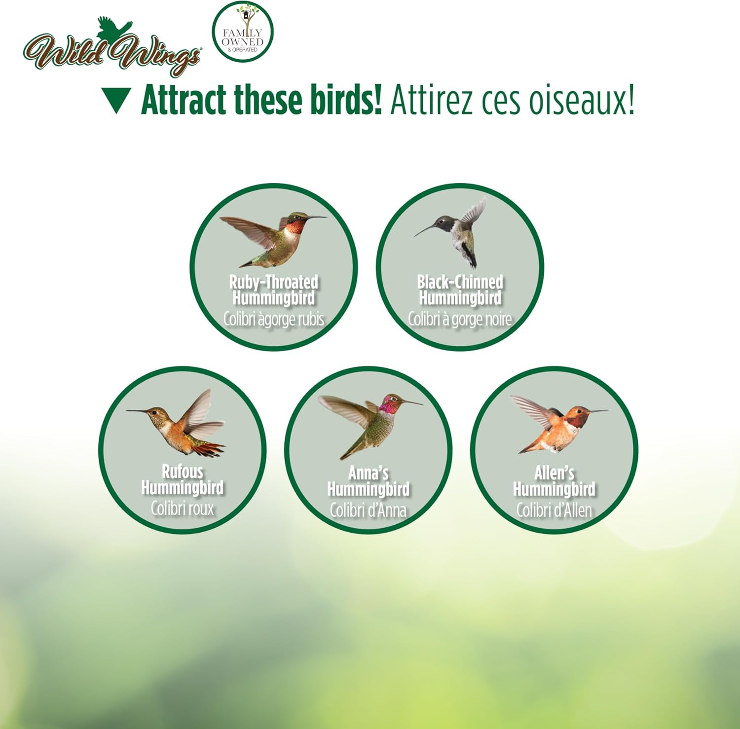 Nature's Way Brid Products WWGHF1 Top Fill Hummingbird Feeder