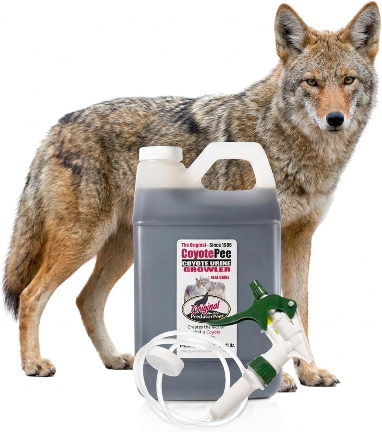 PredatorPee 100% Coyote Urine Natural Predator Scent Made in USA