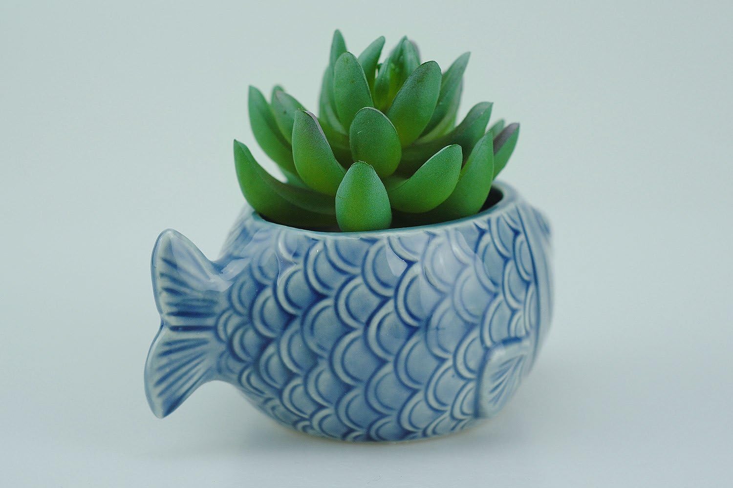VanEnjoy 5" Ceramic Succulent Pot - Cute Ocean Blue Seashell Series, Conch Shaped Cactus Planter, Flower Pottery Bonsai (Seashell M)