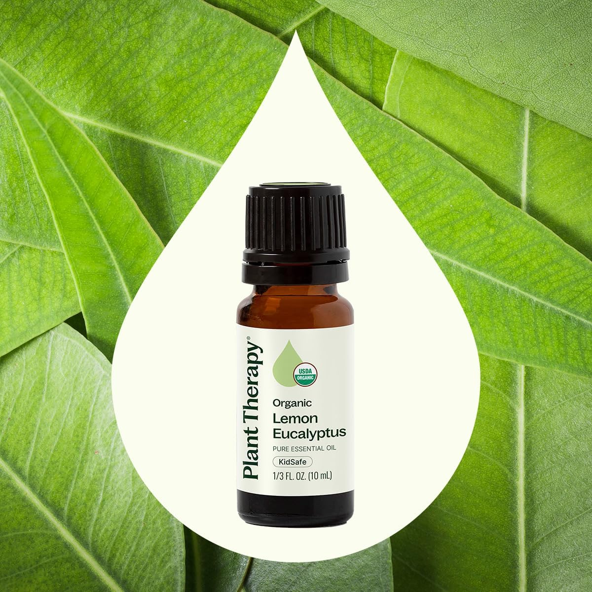 Plant Therapy Organic Lemon Eucalyptus Essential Oil 10 mL, Pure, Undiluted | Pure & Undiluted, USDA Certified Organic