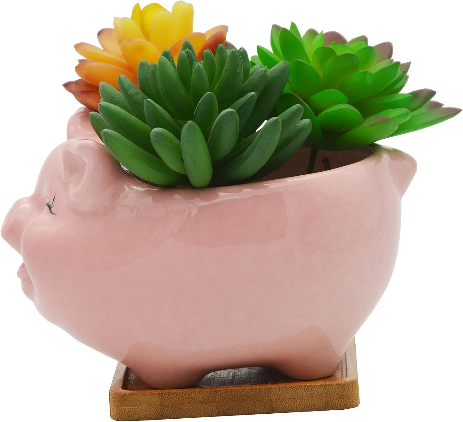 Cuteforyou Succulent Pots,Cute Animal Shaped Cartoon Ceramic Succulent Cactus Flower Planters -Plant Not Included，Cat