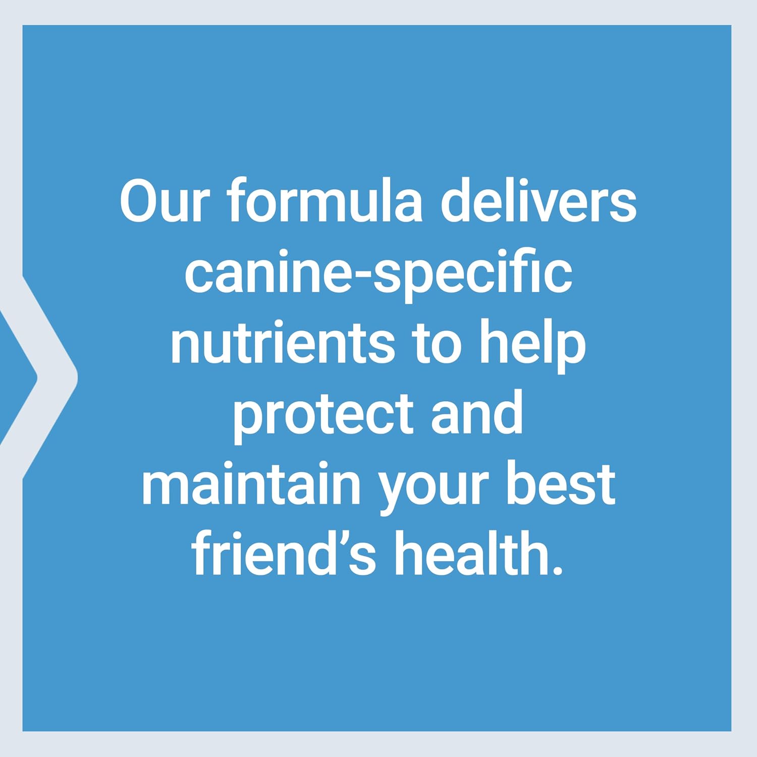 Life Extension Dog Mix, Dog Vitamins and Supplements, probiotics, L-carnitine, B12, folic Acid, Vitamin C, Vitamin E, Rosemary, Nutrient Absorption
