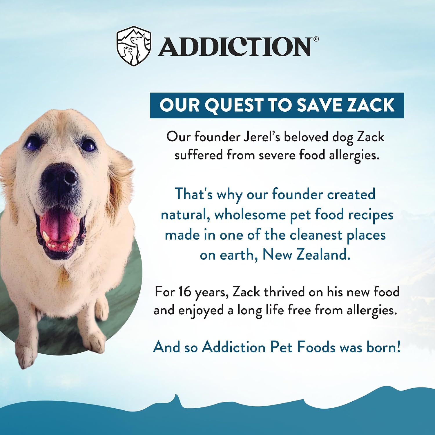 Addiction Venison Recipe Meaty Bites, All Natural Free Range Grain Free High Meat Dog Treats, 4 Oz.
