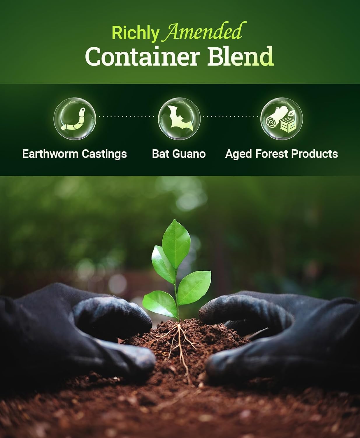 FoxFarm Happy Frog Potting Soil - Ready-to-Use Amended Container Blend with Soil Microbes, Earthworm Castings, Bat Guano, and Aged Forest Products for Indoor & Outdoor Plants - 12 Quart (4)