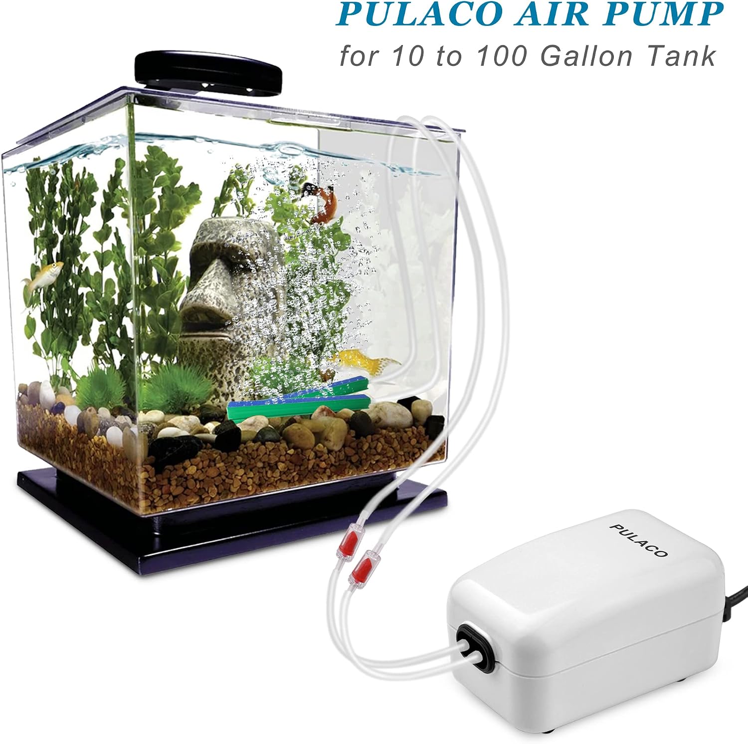 PULACO Dual Outlet Aquarium Air Pump, Quiet Oxygen Pump with Accessories for 10 to 100 Gallon