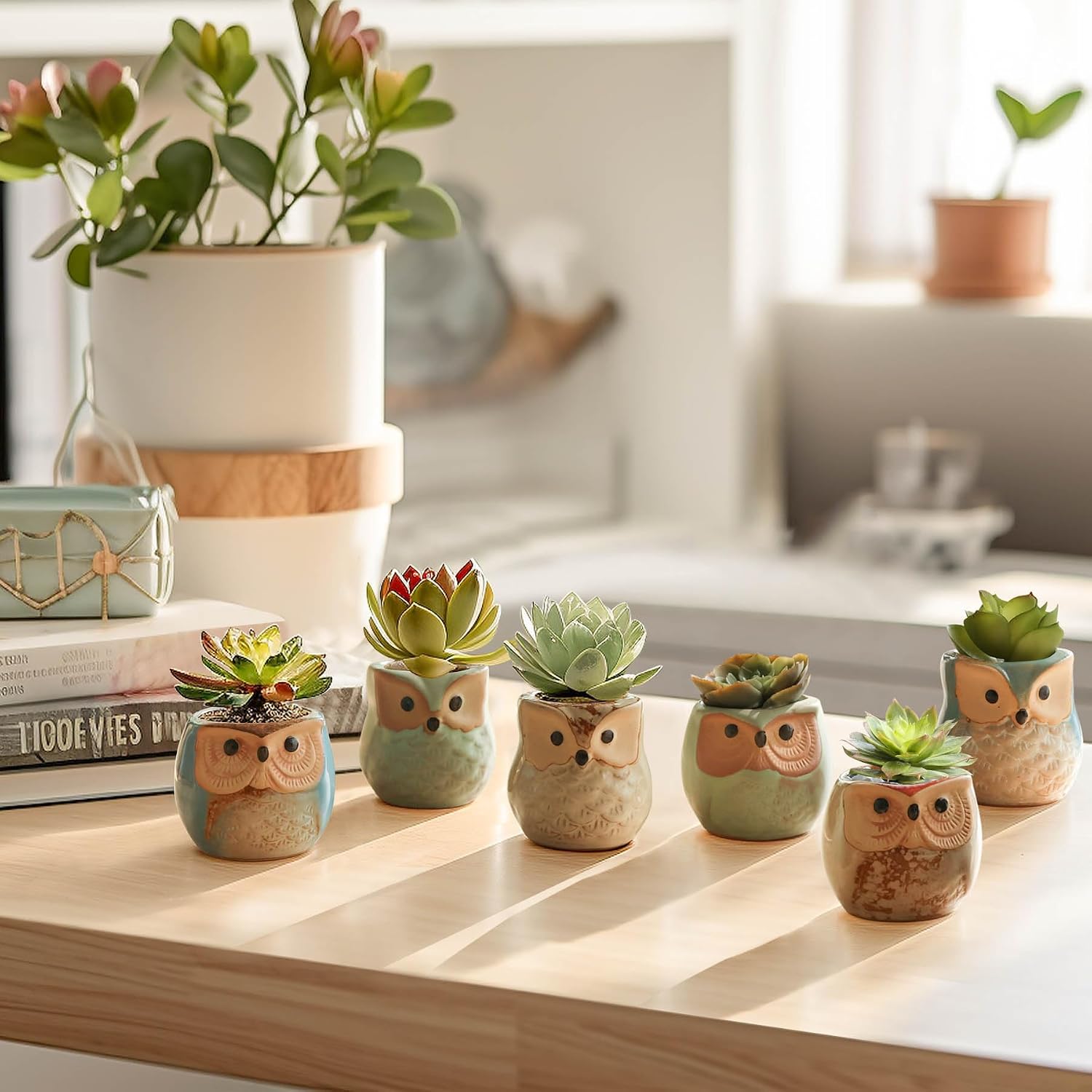 T4U Mini Succulent Ceramic Pots for Gifts, Small Planters for Decor 6 Pack | Planters with Drainage, for live cactus plants, bonsai tree starter pots, indoor windowsill decor, office desk accents