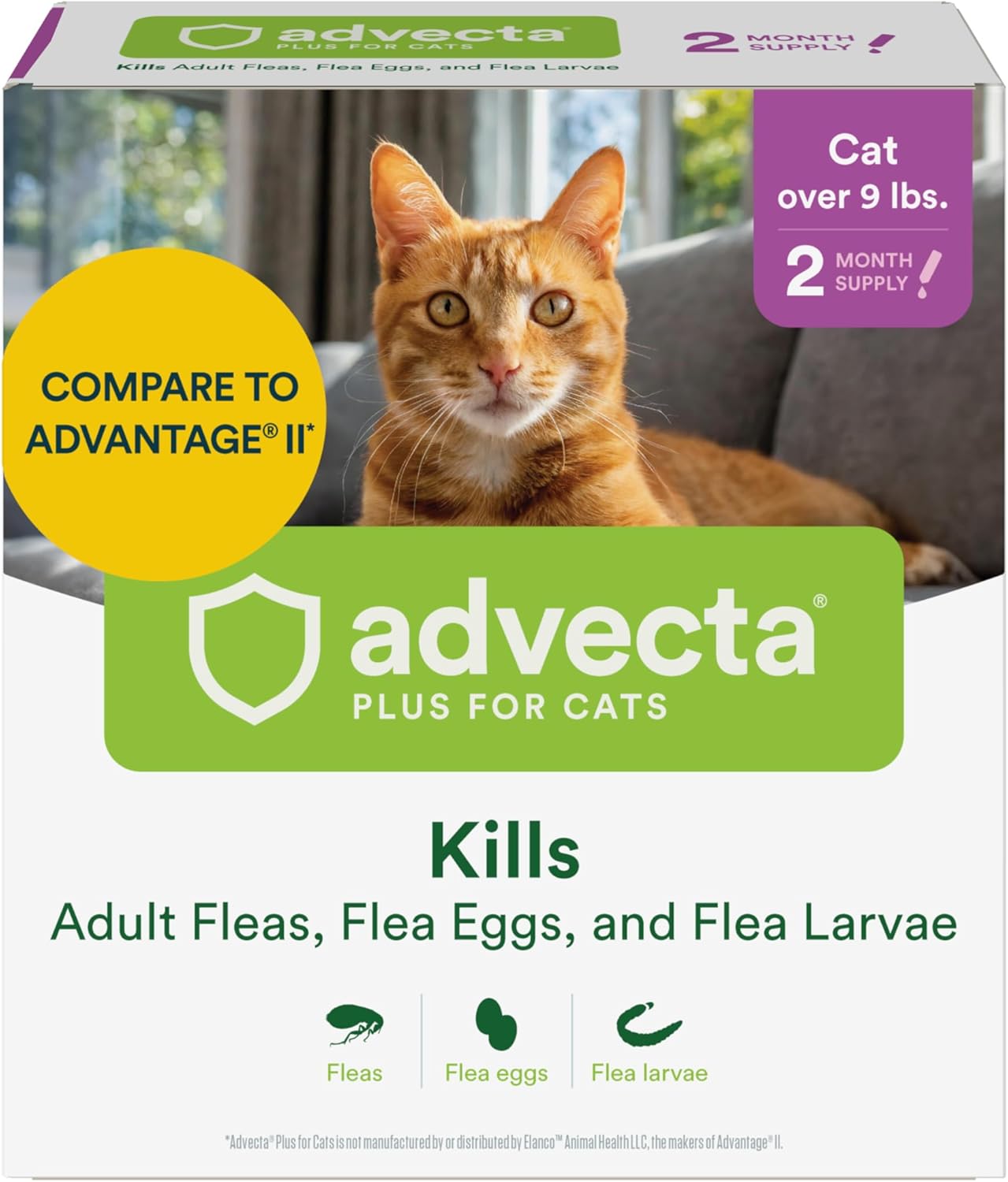 Advecta Plus Cat Flea Treatment 5-9 lbs, Imidacloprid, 4-Month | Ideal for Small Cats 5-9 lbs; Kills Adult Fleas in 12 hrs; 4-month supply; Breaks Flea Life Cycle