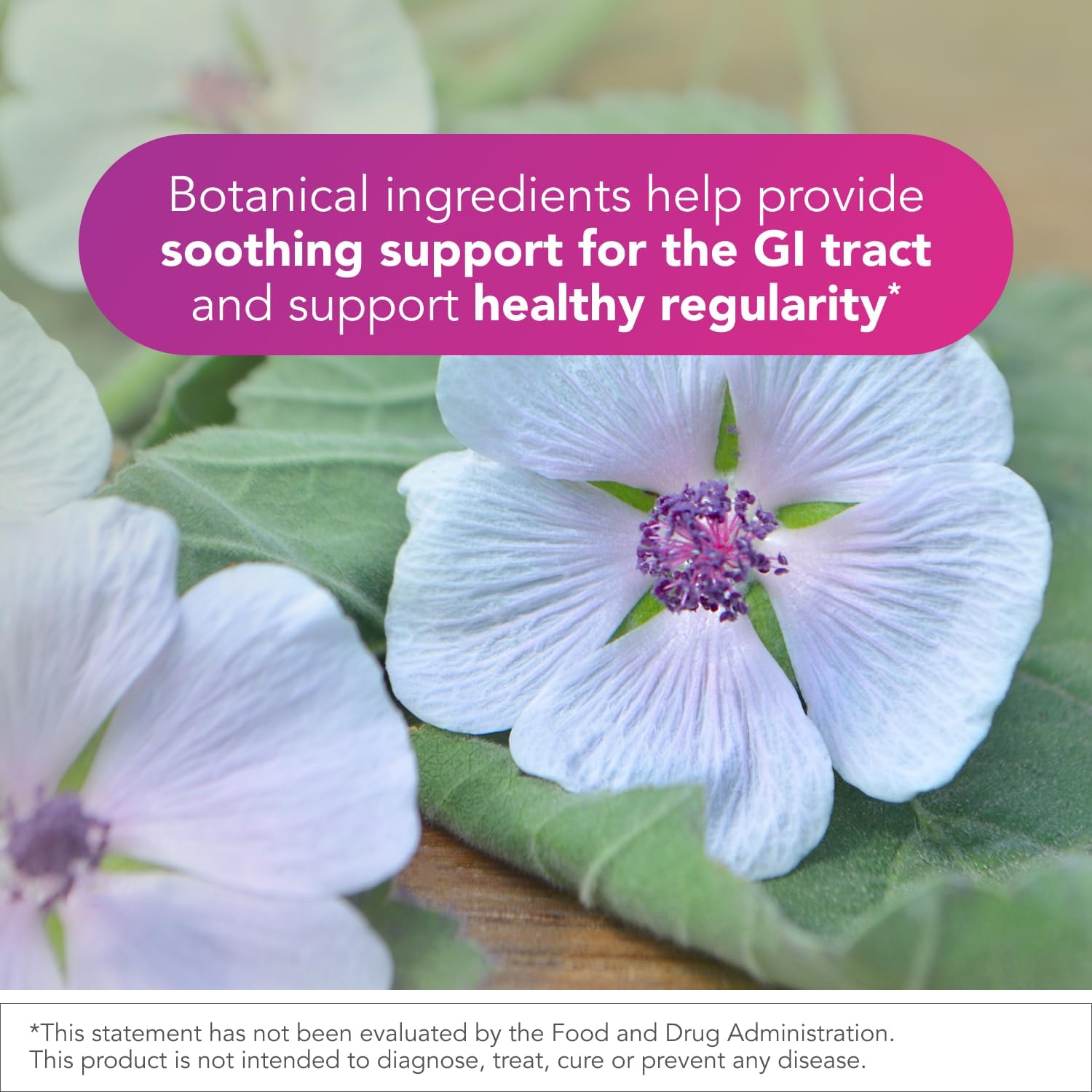 Biocidin Proflora 4R Spore Probiotic for Gut Health & Digestion, 30 Count | Vegan Probiotic, Bacillus, Organic Aloe, Marshmallow Root & Quercetin