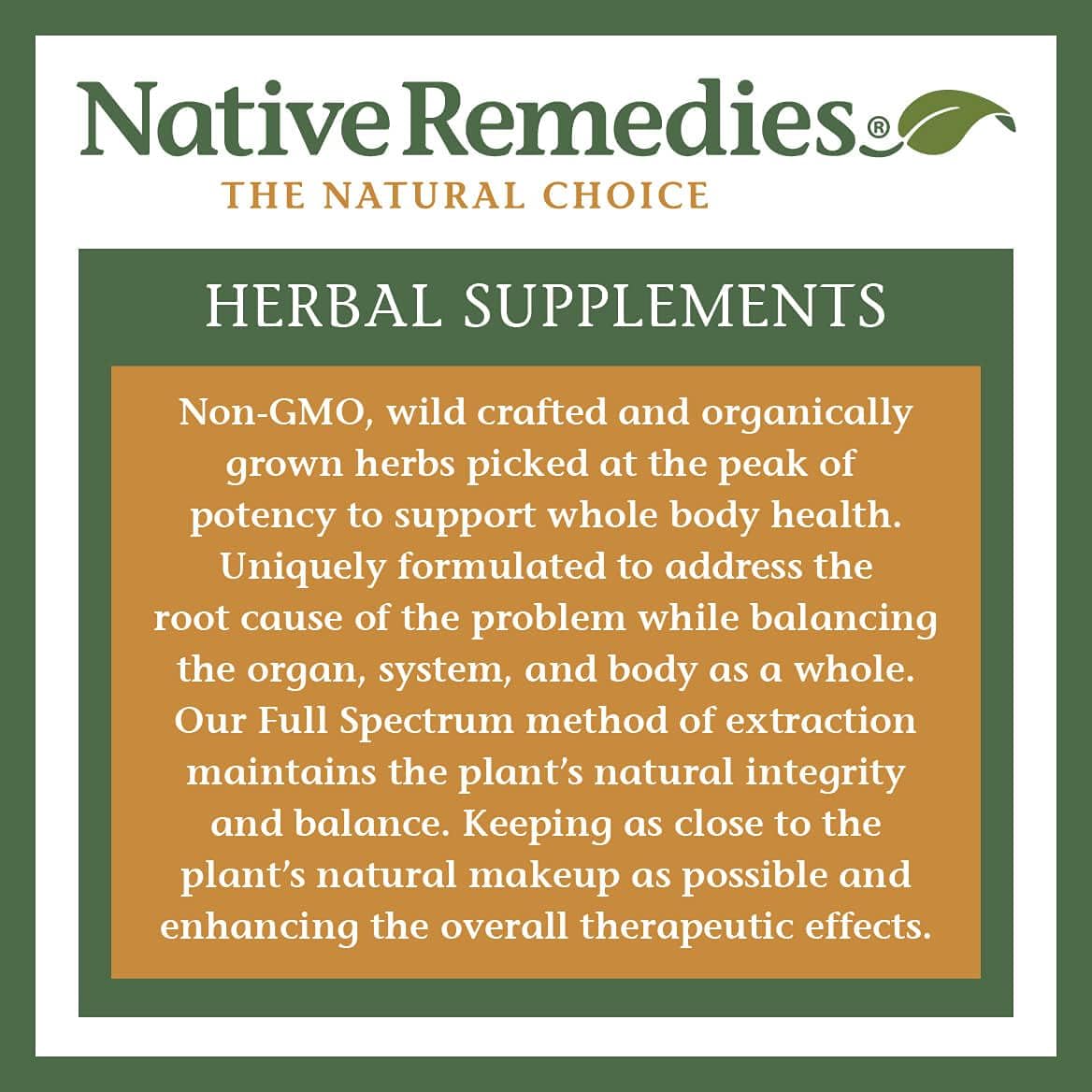 Native Remedies Kidney Dr. - All Natural Herbal Supplement for Kidney and | Urinary System Health - 59 mL