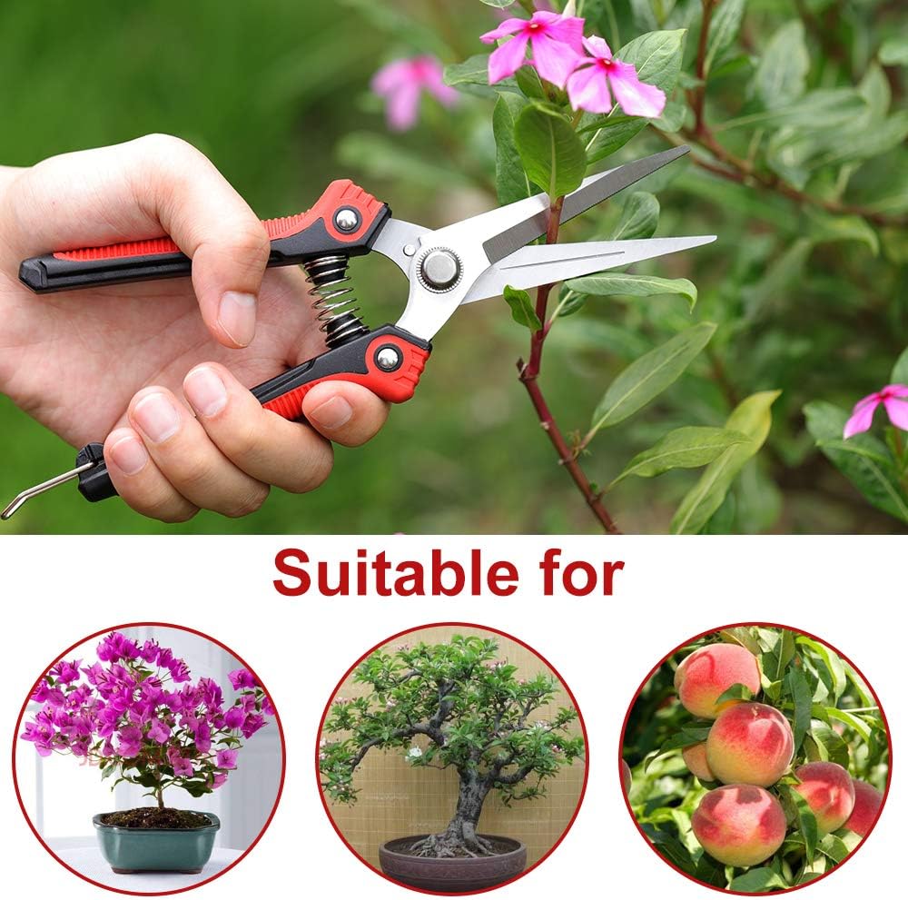 WYF Pruning Scissors, Professional Garden Shears - Straight Stainless Steel Blades - Sharp Gardening Hand Pruner for Garden Harvesting Fruits