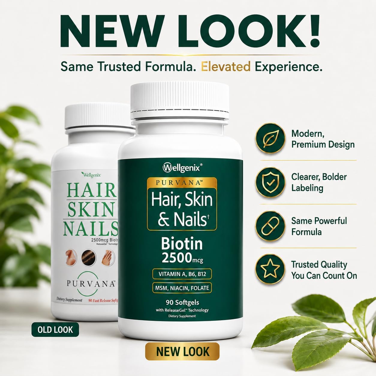 Wellgenix Purvana Hair Skin and Nails Supplement – 2500mcg Biotin Softgels with MSM & B-Complex – Daily Beauty Support for Stronger Nails & Hair Vitality – 90 Softgels | MSM, alpha lipoic acid & grape seed softgels for thicker-looking hair, stronger-look…