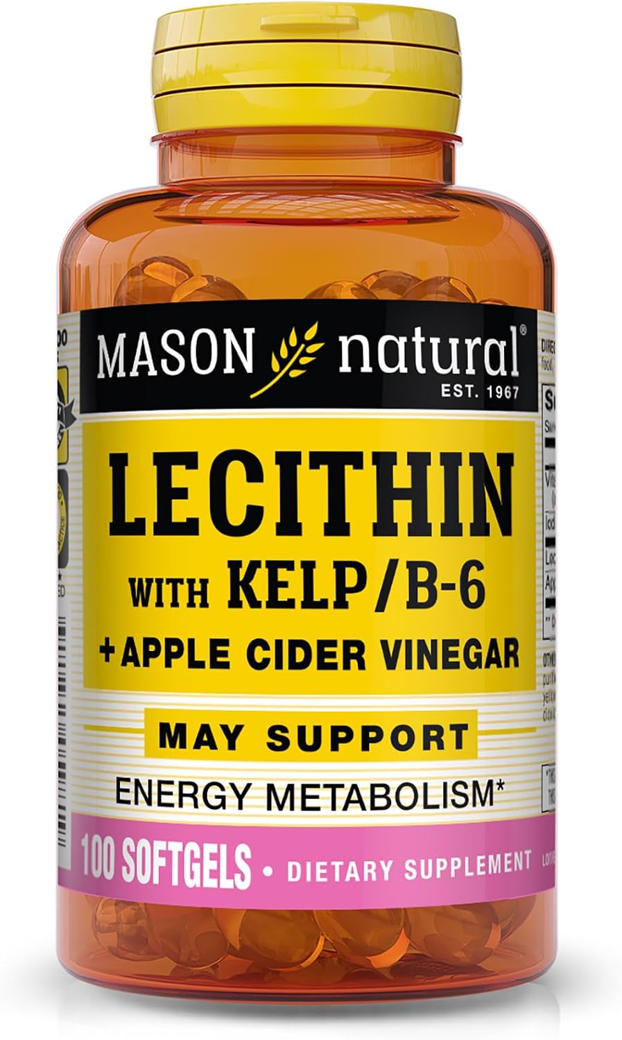 MASON NATURAL Lecithin with Kelp, B6 & Apple Cider Vinegar, 100 Day Supply | Lecithin, kelp iodine