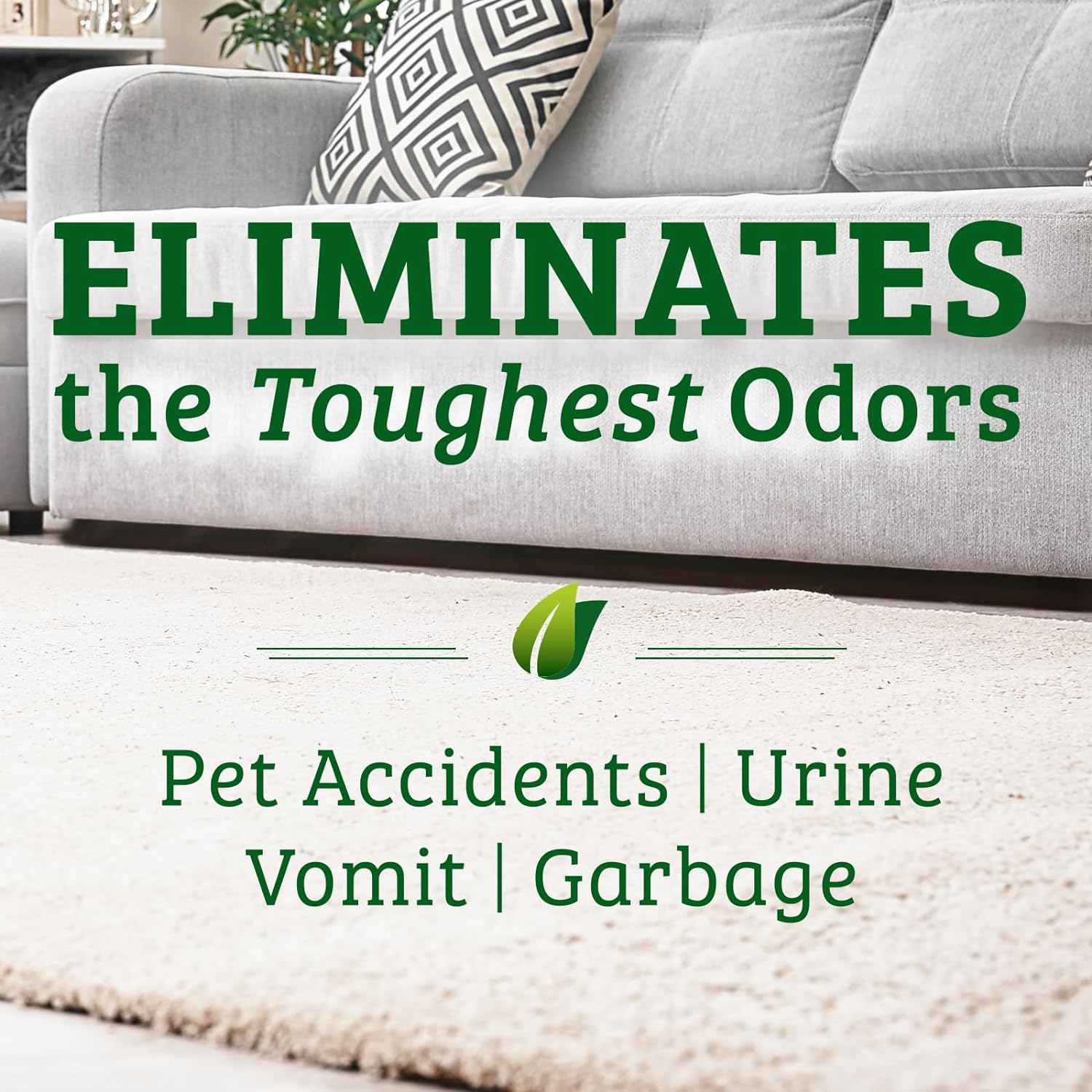 Biokleen Bac-Out Pet Stain Remover - Enzymatic, Natural, Plant-Based Destroys Stains & Odors, Safe for Surfaces & Fabrics