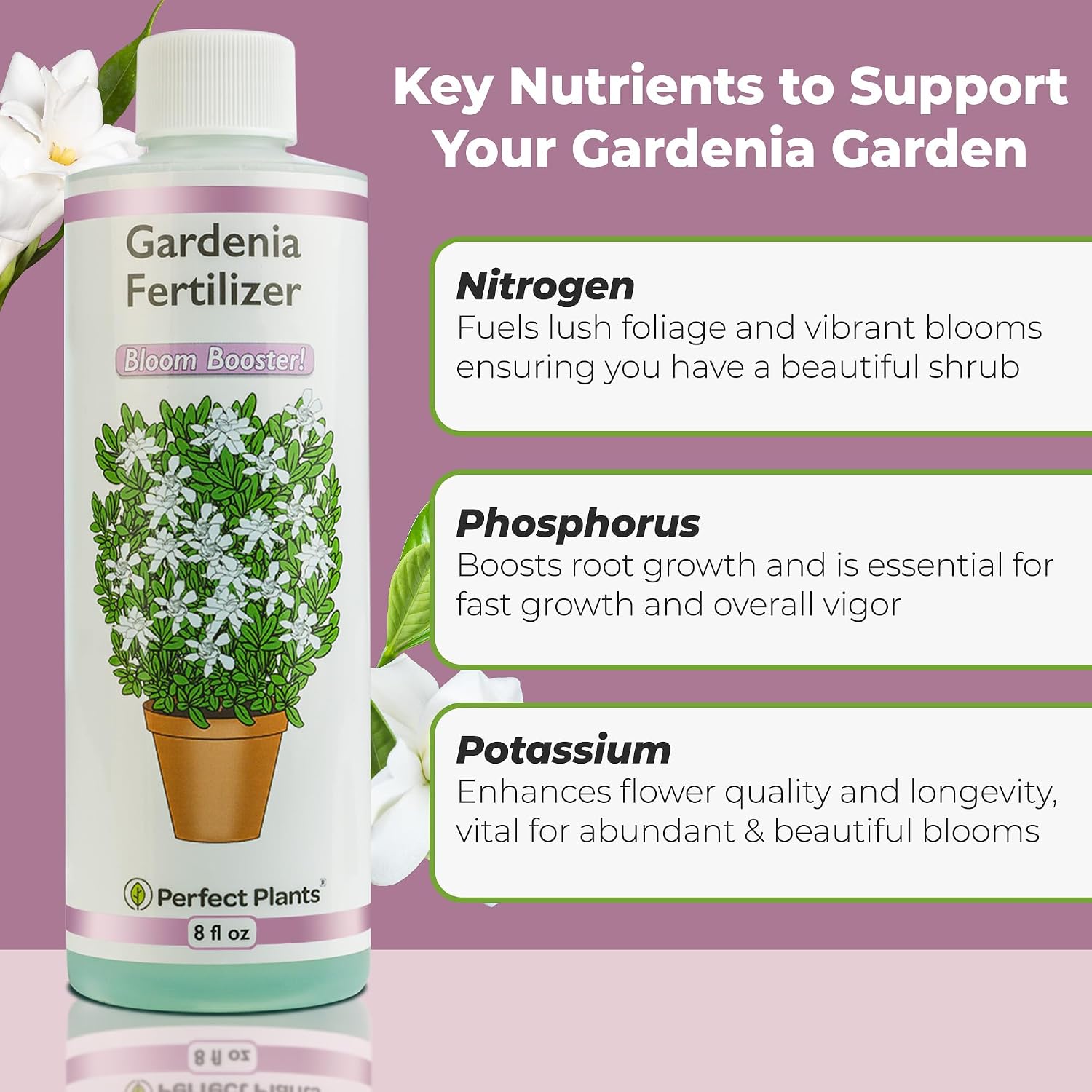 Perfect Plants Gardenia Liquid Fertilizer, 8 oz, Bloom Boost Plant Food
