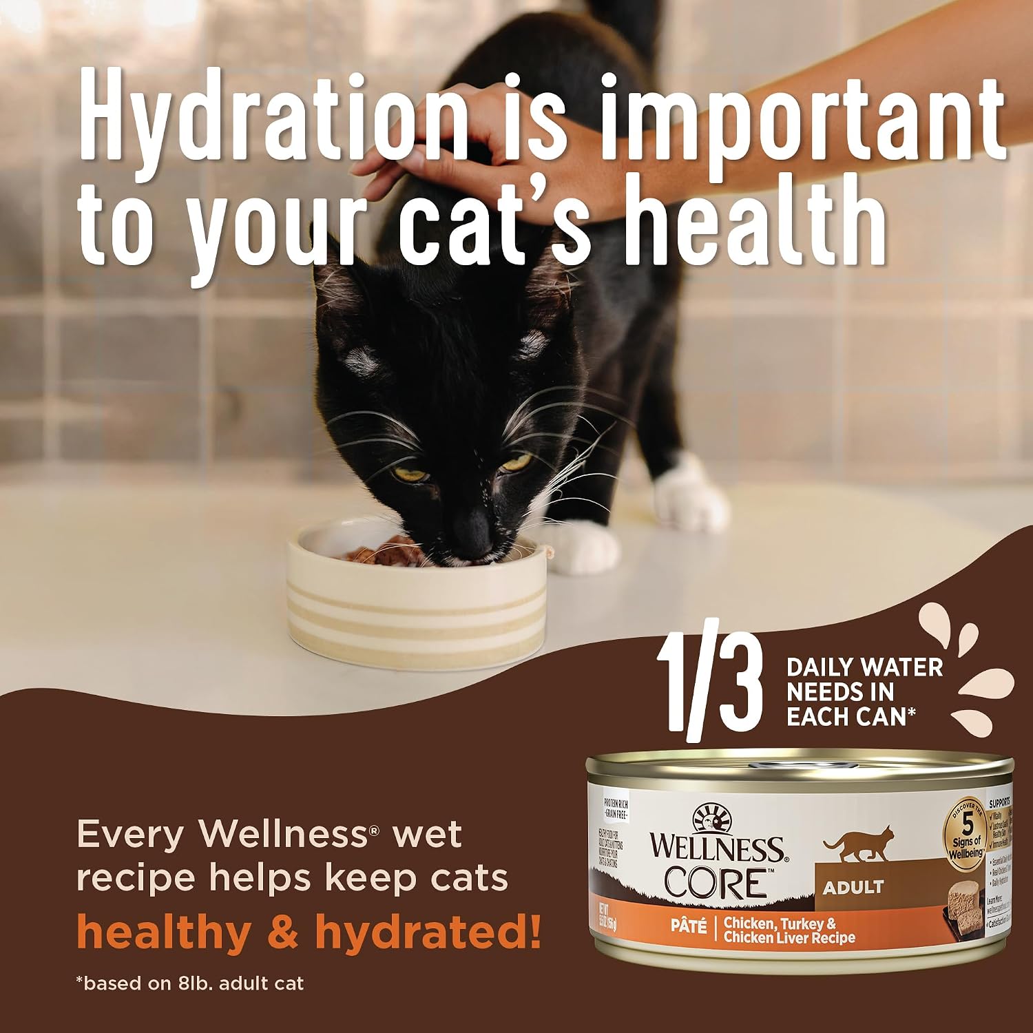 Wellness CORE Pate Adult Canned Wet Cat Food, Natural, Protein Rich, Grain Free, Turkey and Duck Recipe, 3 oz, Pack of 12 Cans