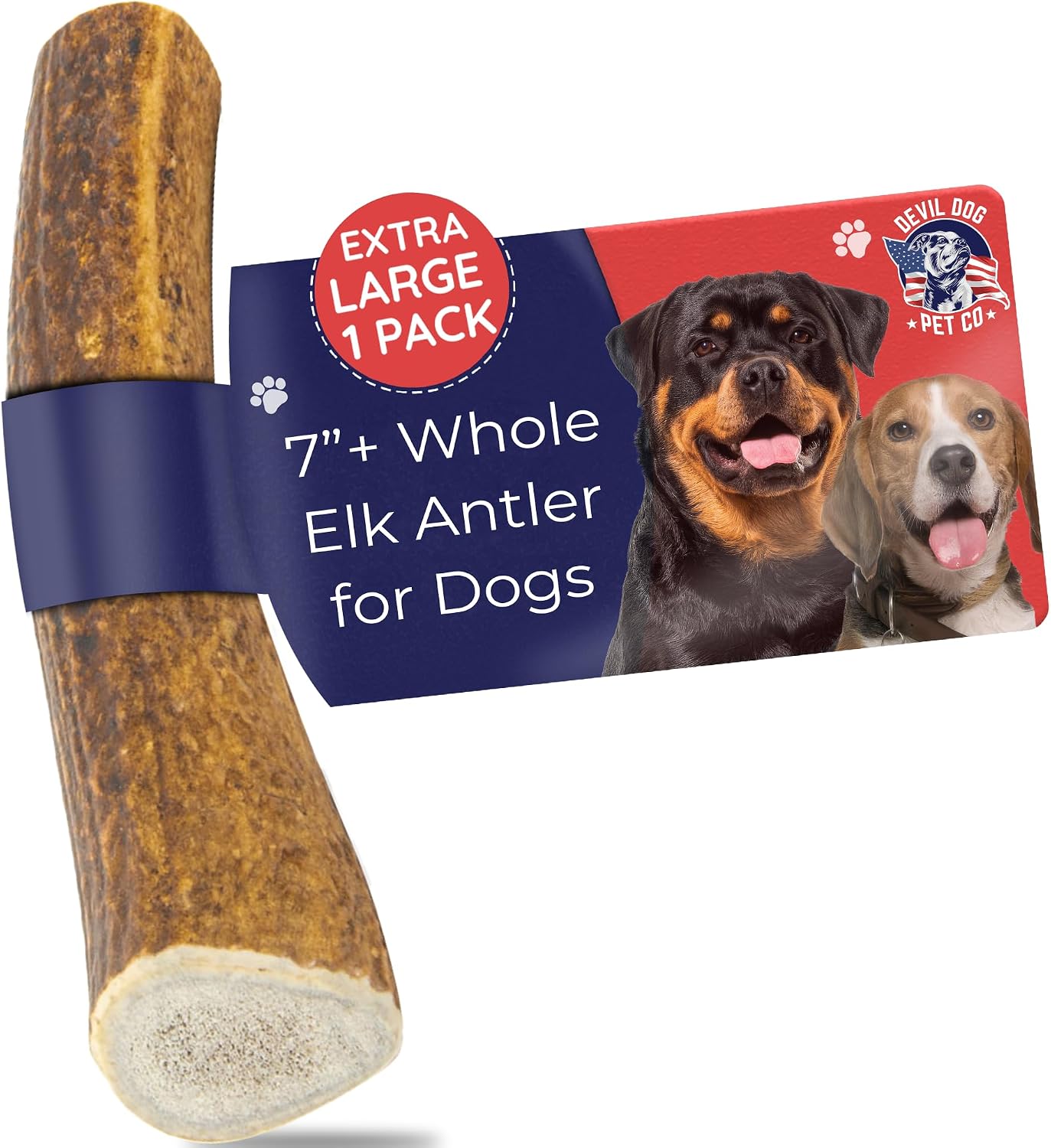 Devil Dog Pet Co Whole Elk Antlers for Dogs, Medium, Aggressive Chewers | Naturally shed Grade A Rocky Mountain elk antler, single ingredient, long lasting, 5 in+, fits breeds up to 50 lb