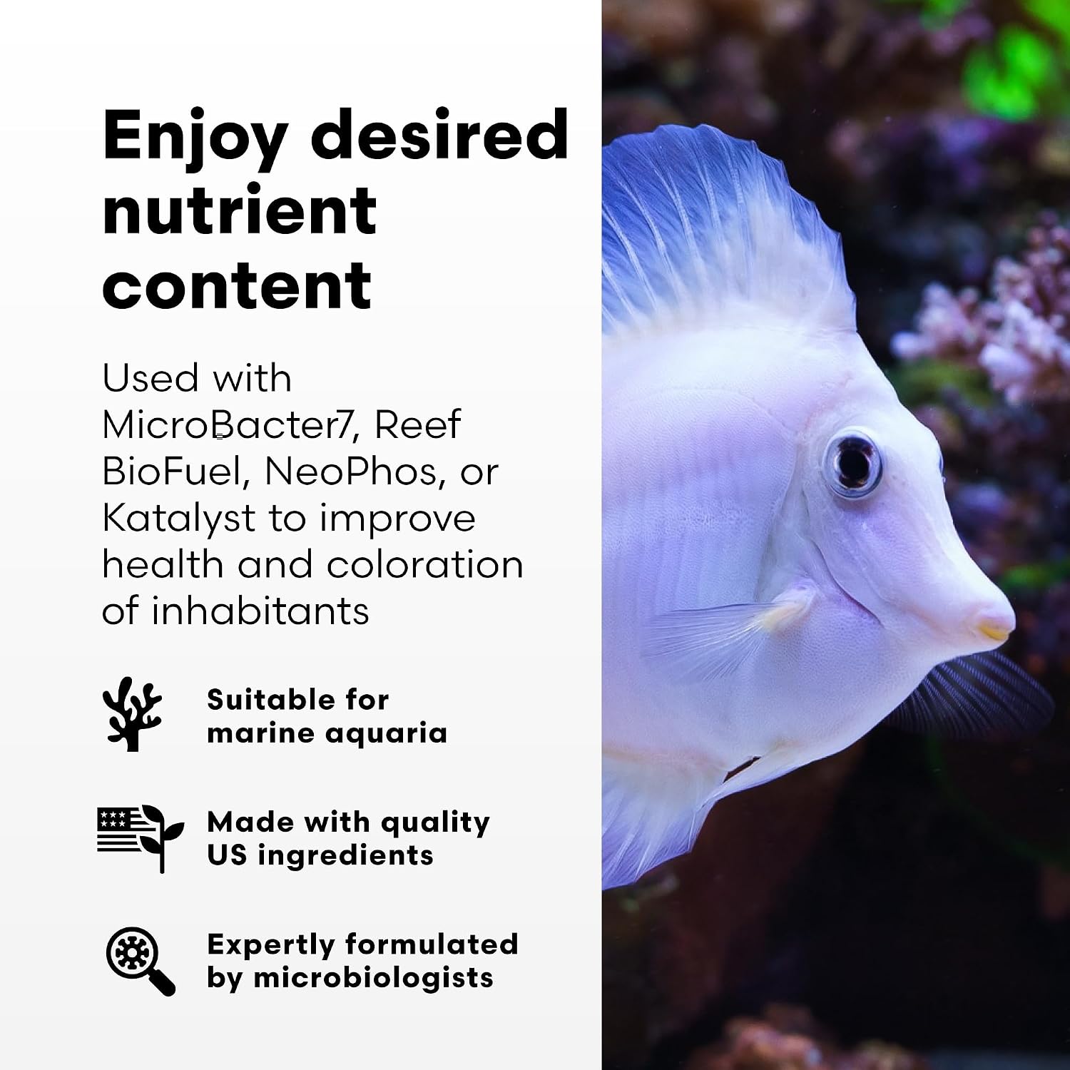 Brightwell Aquatics NēoNitro Nitrate Supplement for Reef Aquariums, 2L