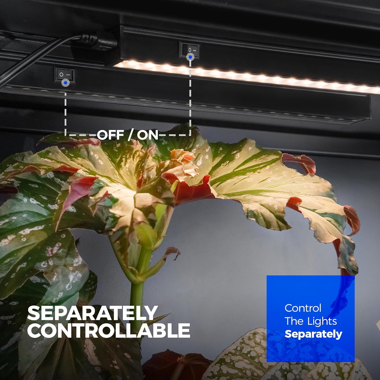 Barrina T5 Grow Lights for Indoor Plants, Full Spectrum, 2FT, 8 Packs