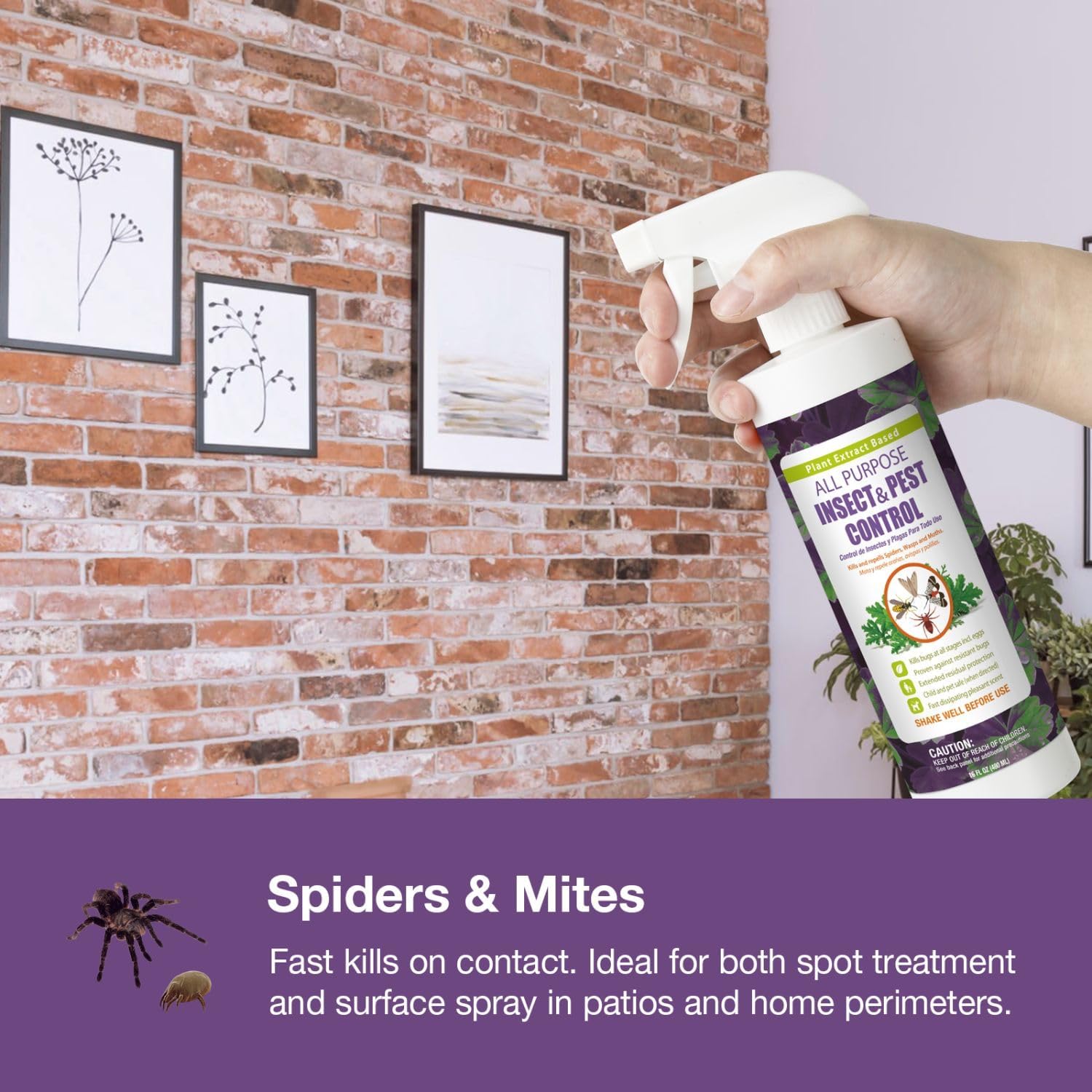 EcoVenger by EcoRaider All Purpose Insect Control 16 oz, Fleas, Fruit Flies, Gnats, Moths, Roaches, Spiders, Fast Kill, Lasting Prevention, Kill Eggs, Plant Extract Based & Non-Toxic, Child & Pet Safe