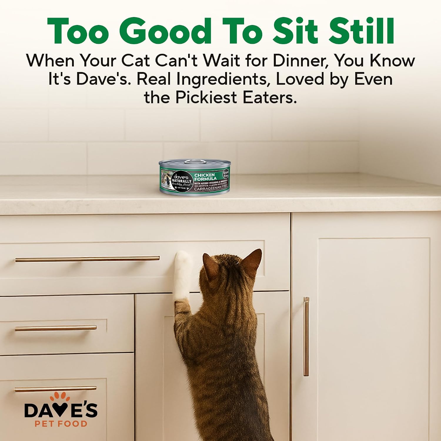 Dave's Pet Food Grain Free Wet Canned Cat Food Pate, Chicken, 12.5 oz, 12pk | Made in USA, Naturally Healthy, Easy to Digest Wheat & Gluten-Free, Use as Topper or Meal, Carrageenan-Free